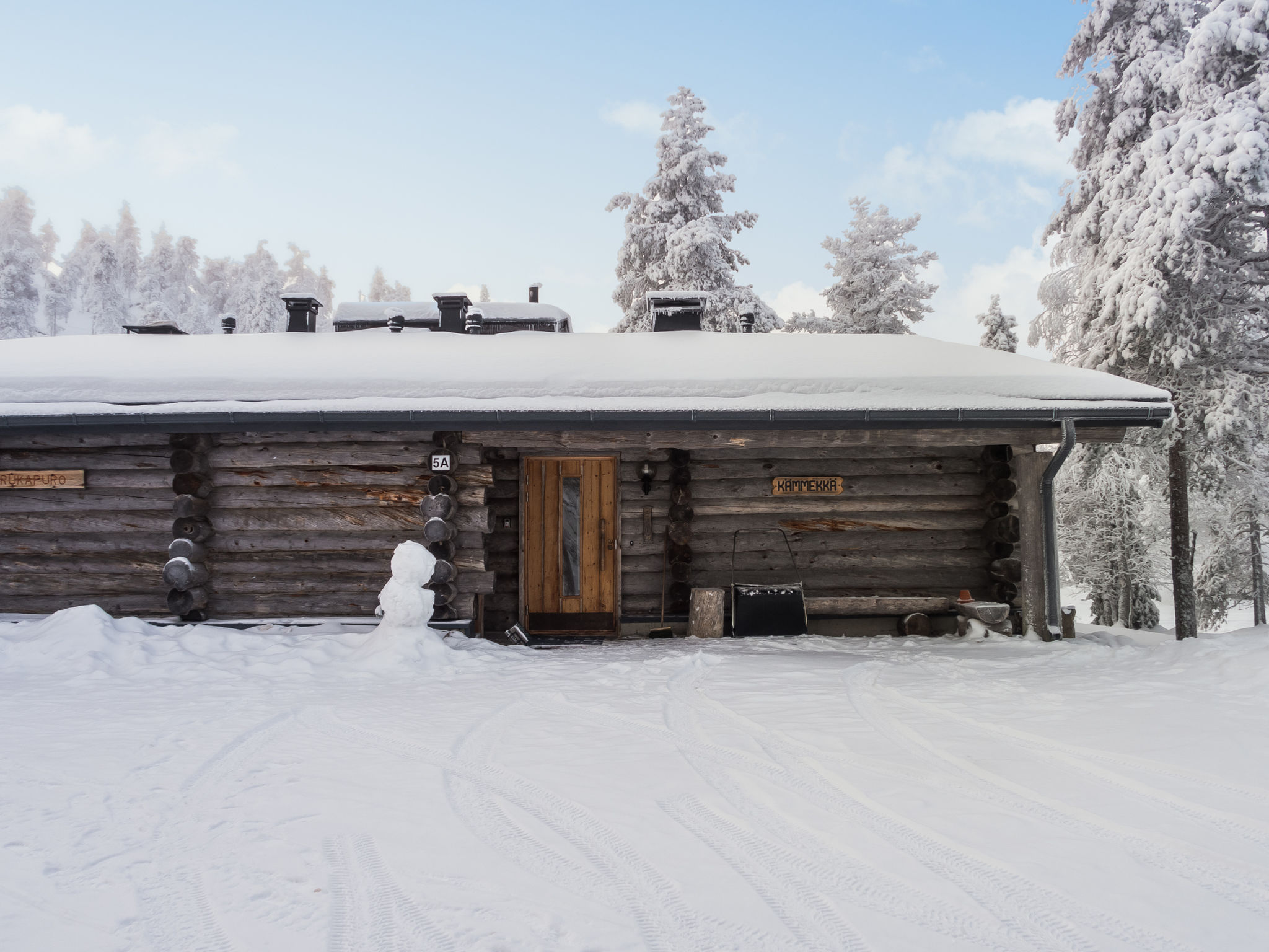 Rukakämmekkä - Binnen