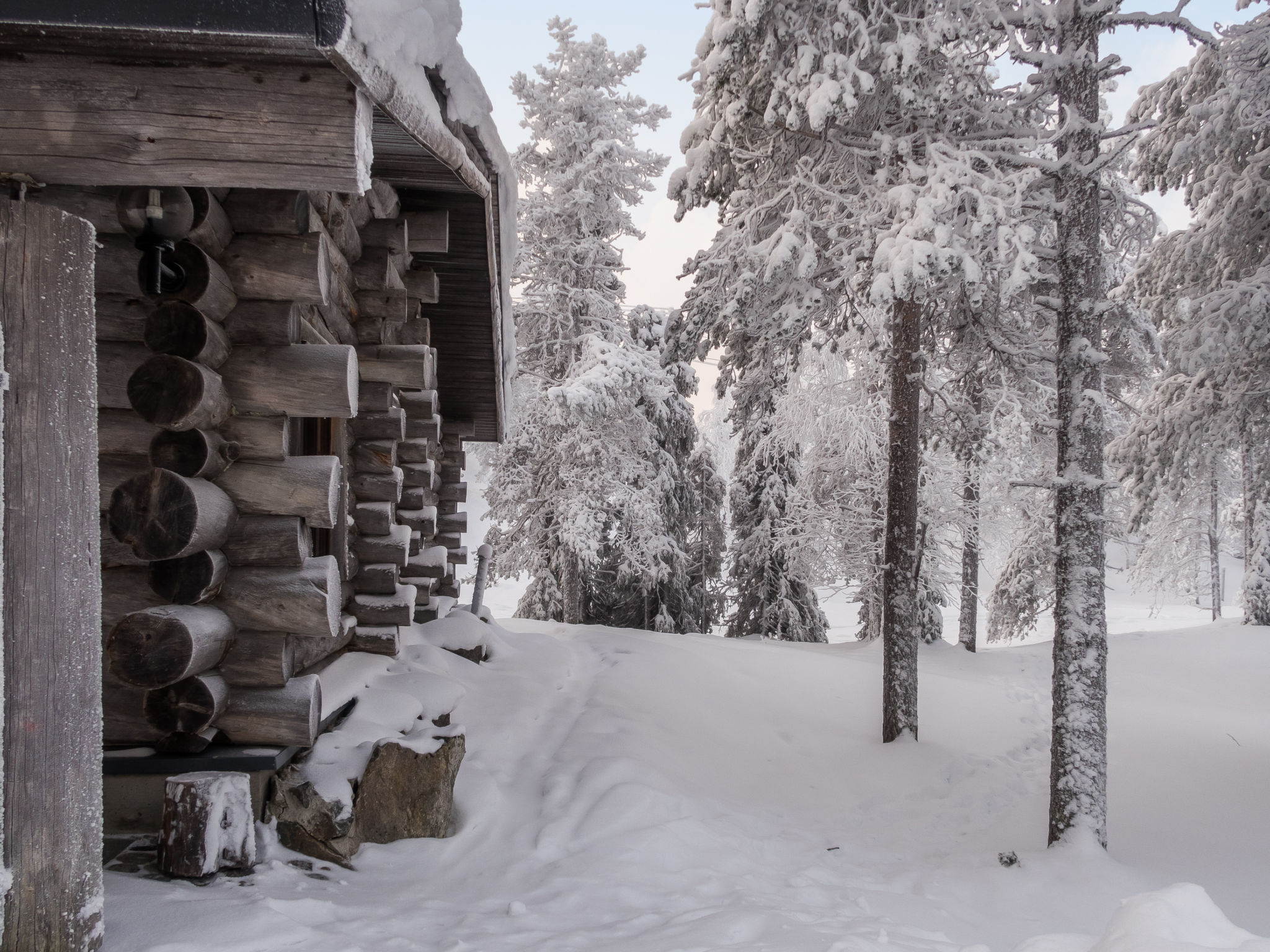 Rukakämmekkä