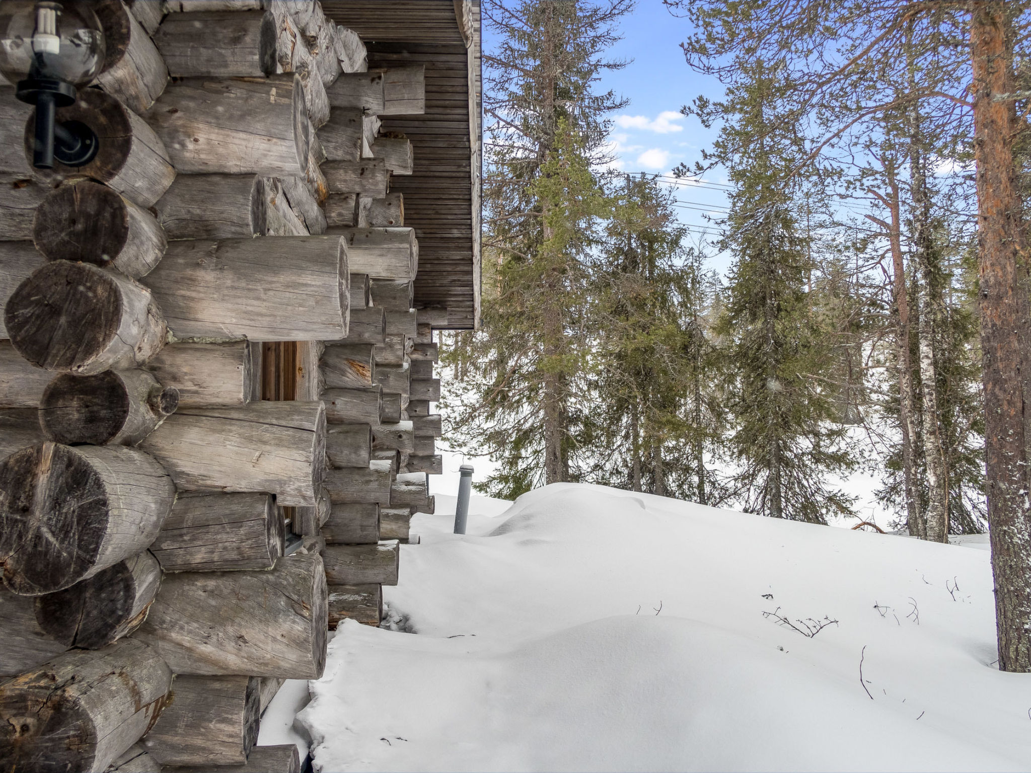 Rukakämmekkä