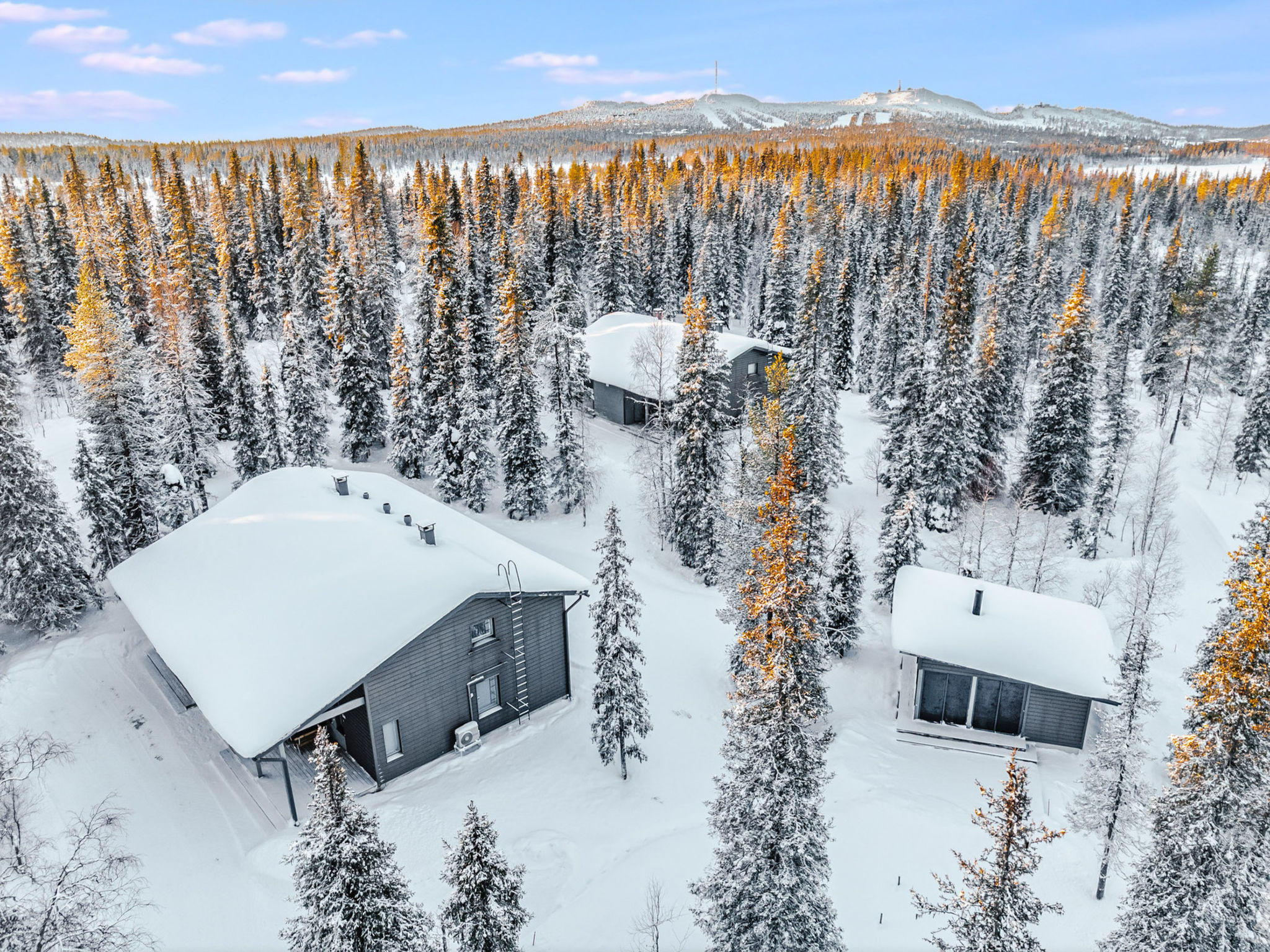 Photo of Villa vuosseli a 1