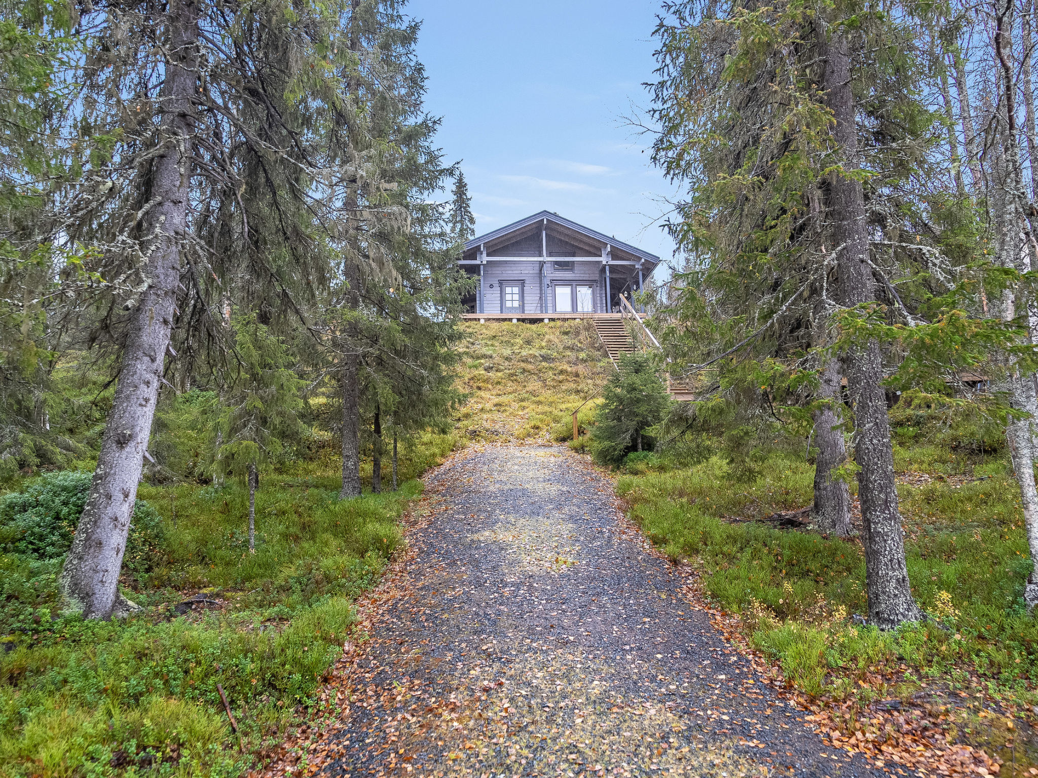 Villa helmi