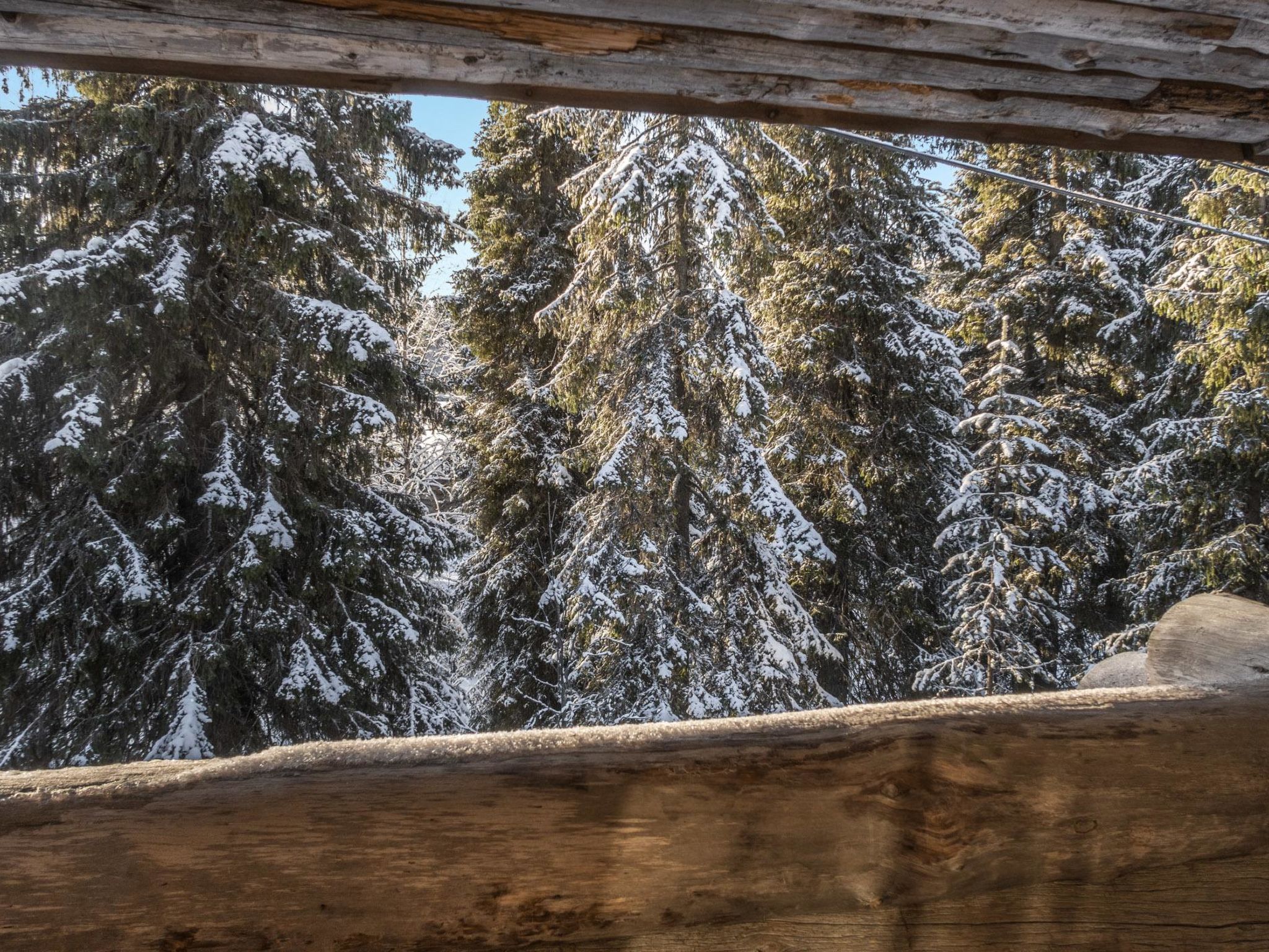 Photo of Nousujohde c1