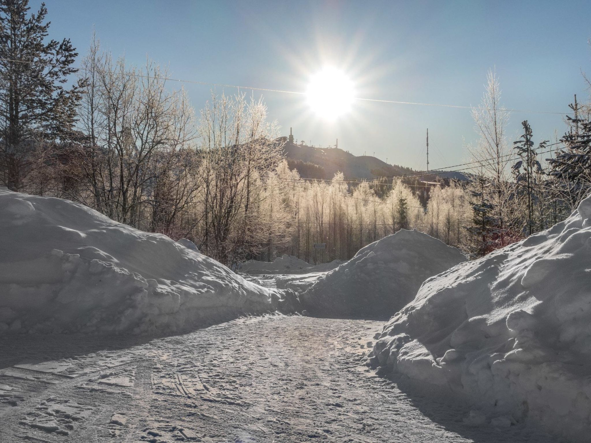 Photo of Nousujohde c1