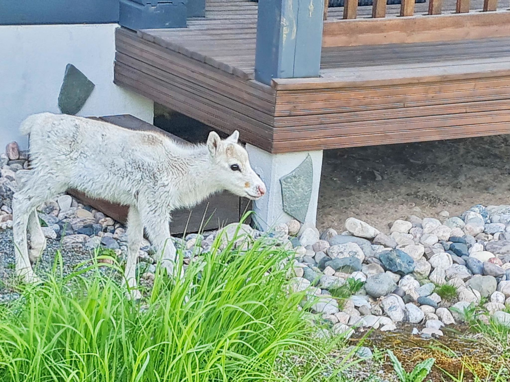 Photo of Vuosselinkulma 1