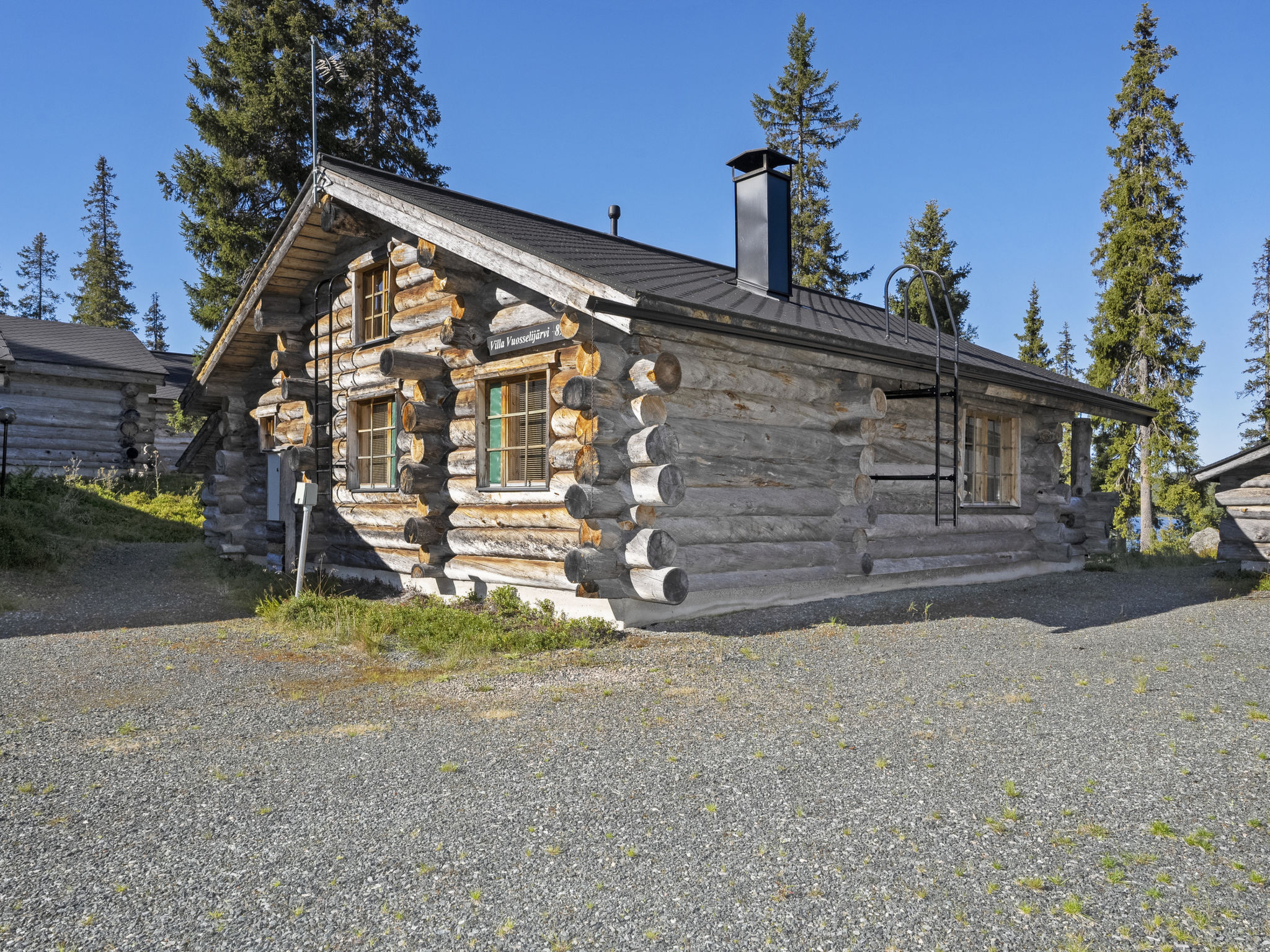 Villa vuosselinjärvi