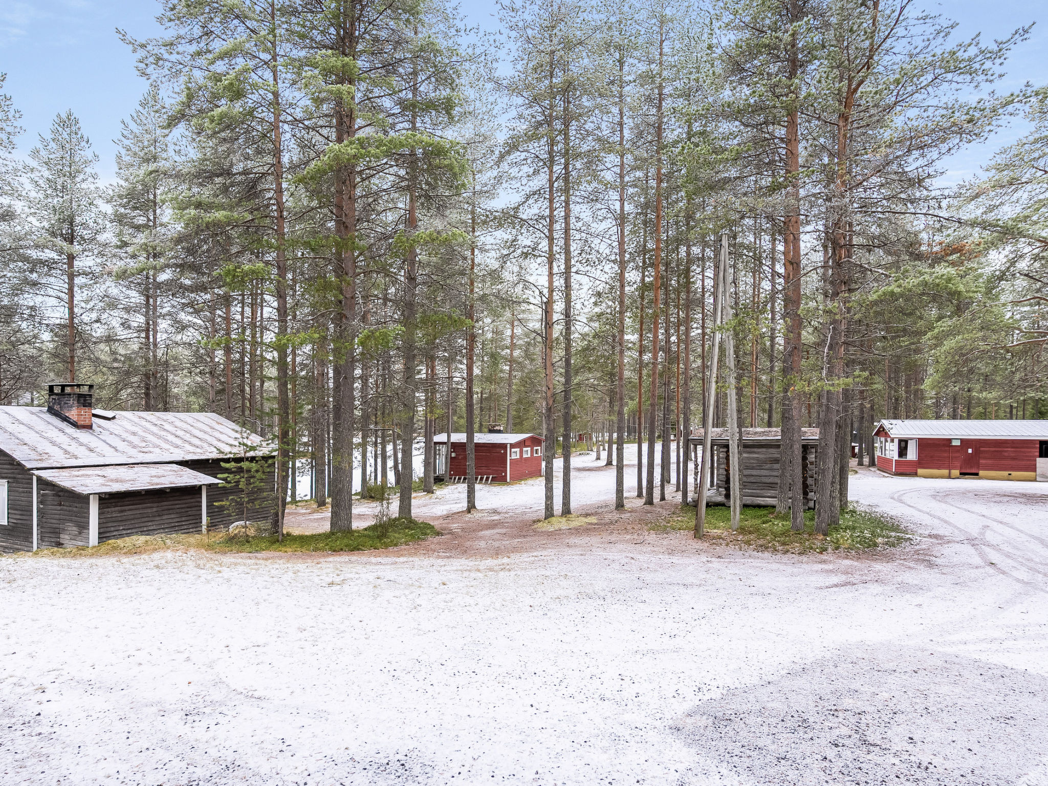 Villa valokki