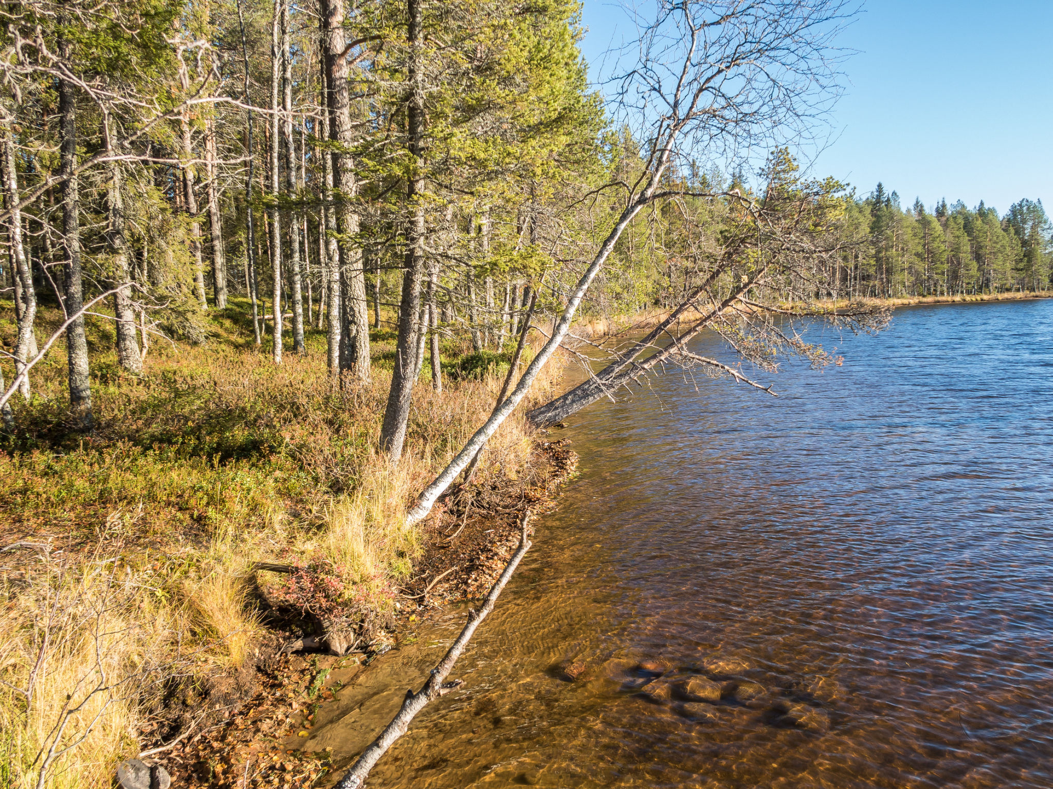 Putilanranta - Dedans