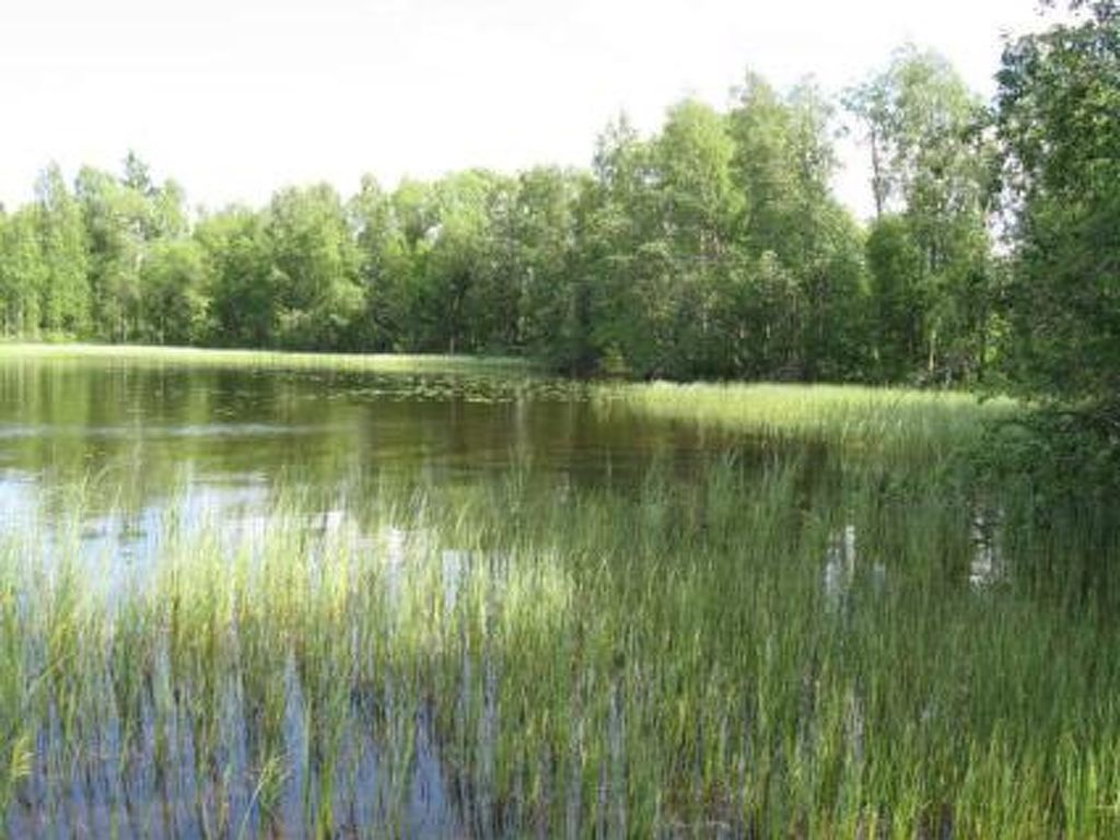 Bild 18