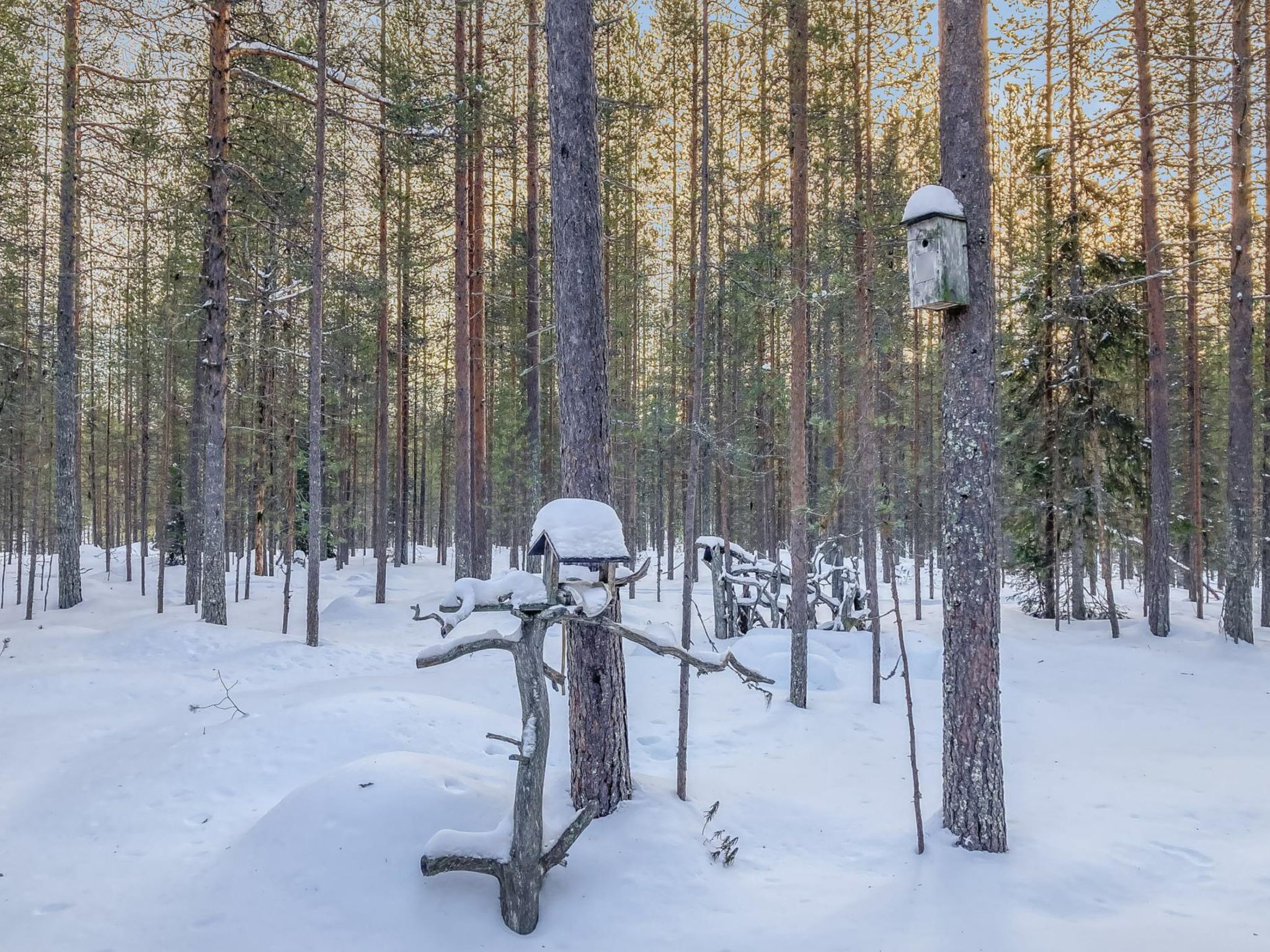 Photo of Rukanlumous 1