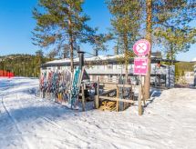 Vuosselinhelmi c6