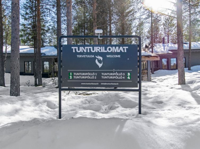 Tunturipöllö 1