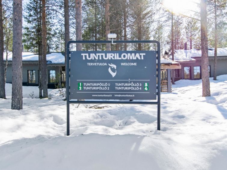 Photo of Tunturipöllö 4