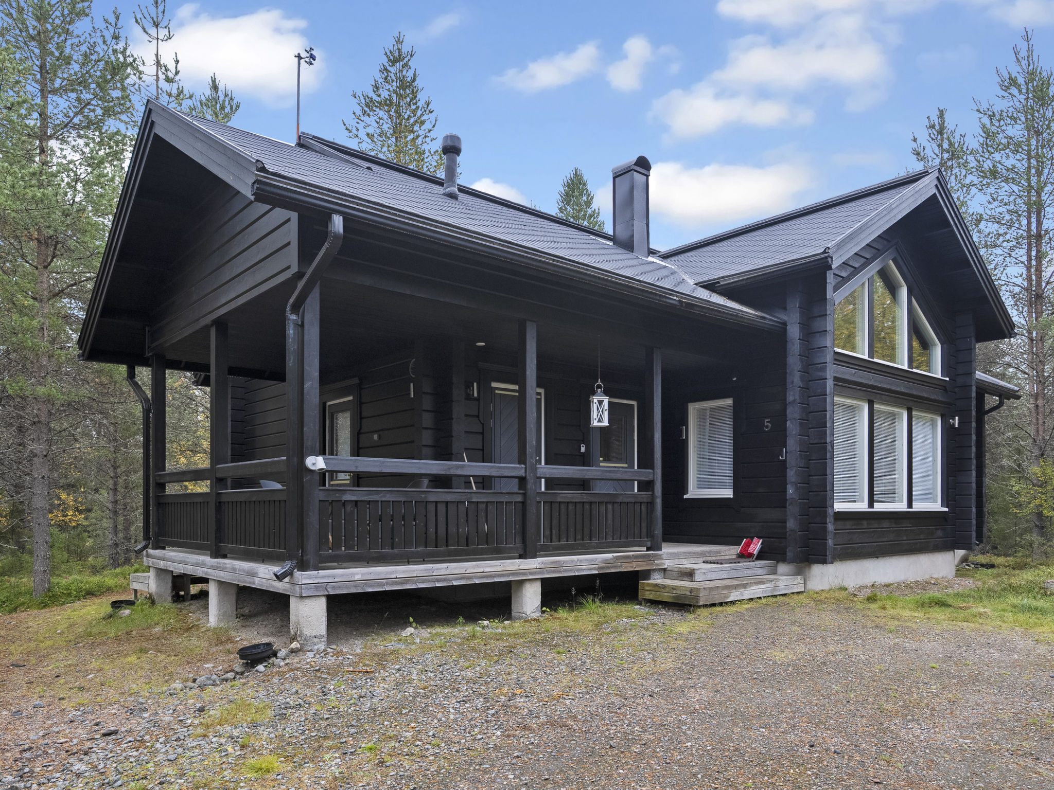 Photo of Vuosselin kataja 5