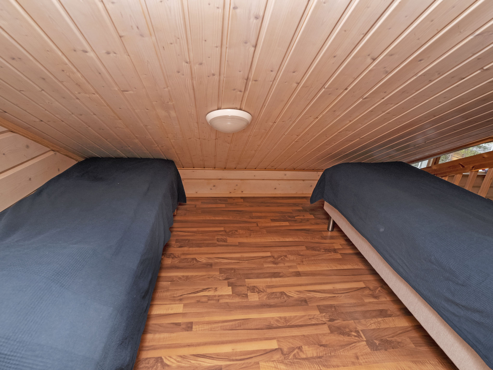 Photo of Vuosselin kataja 5