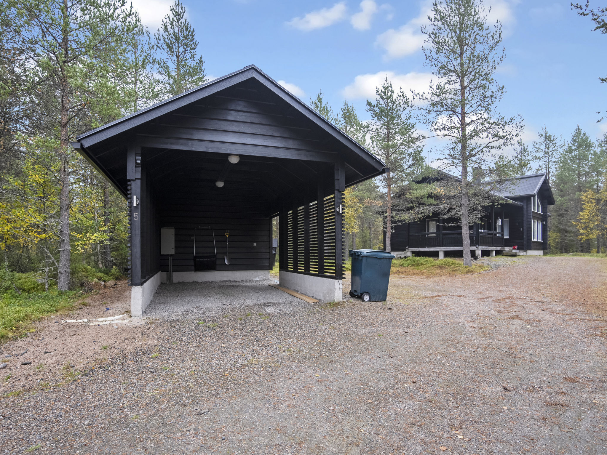 Photo of Vuosselin kataja 5