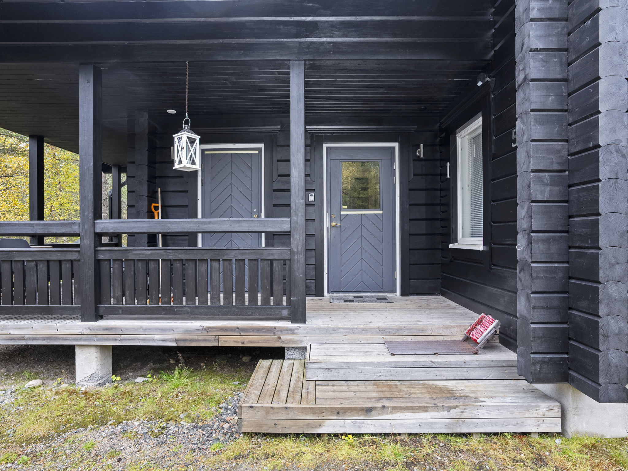 Photo of Vuosselin kataja 5