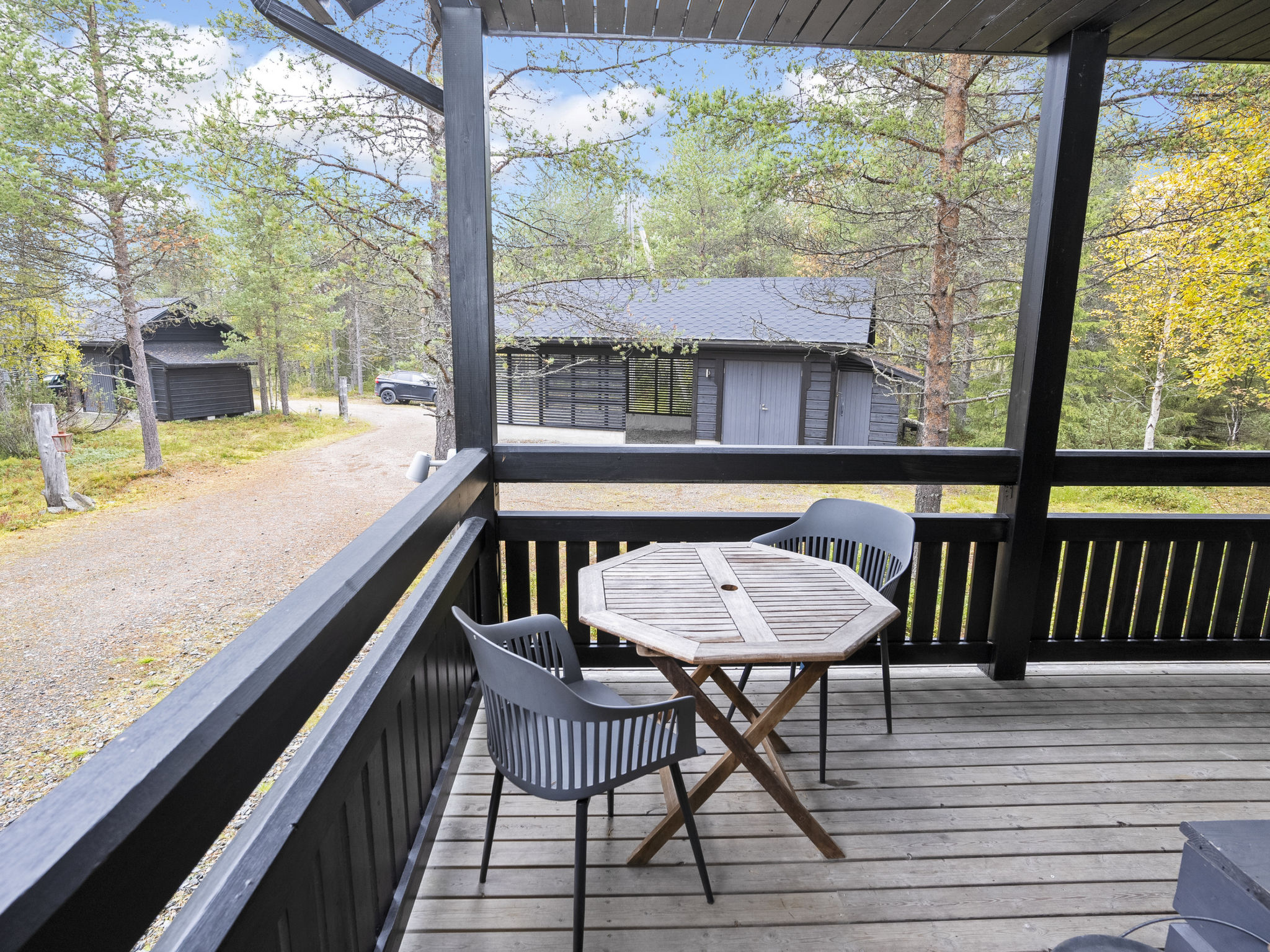 Photo of Vuosselin kataja 5