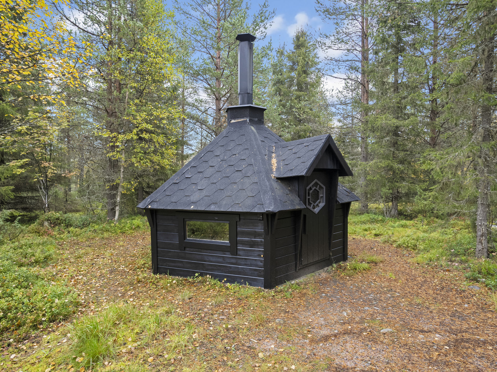 Vuosselin kataja 5