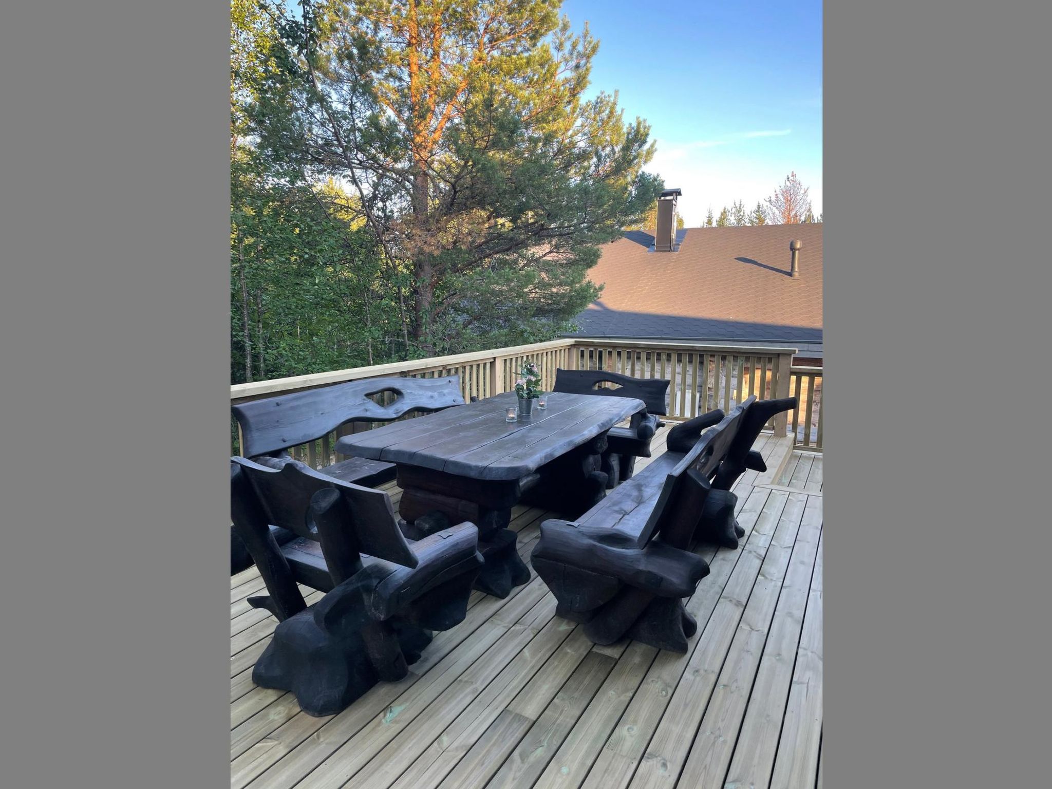 Photo of Mäentähti b