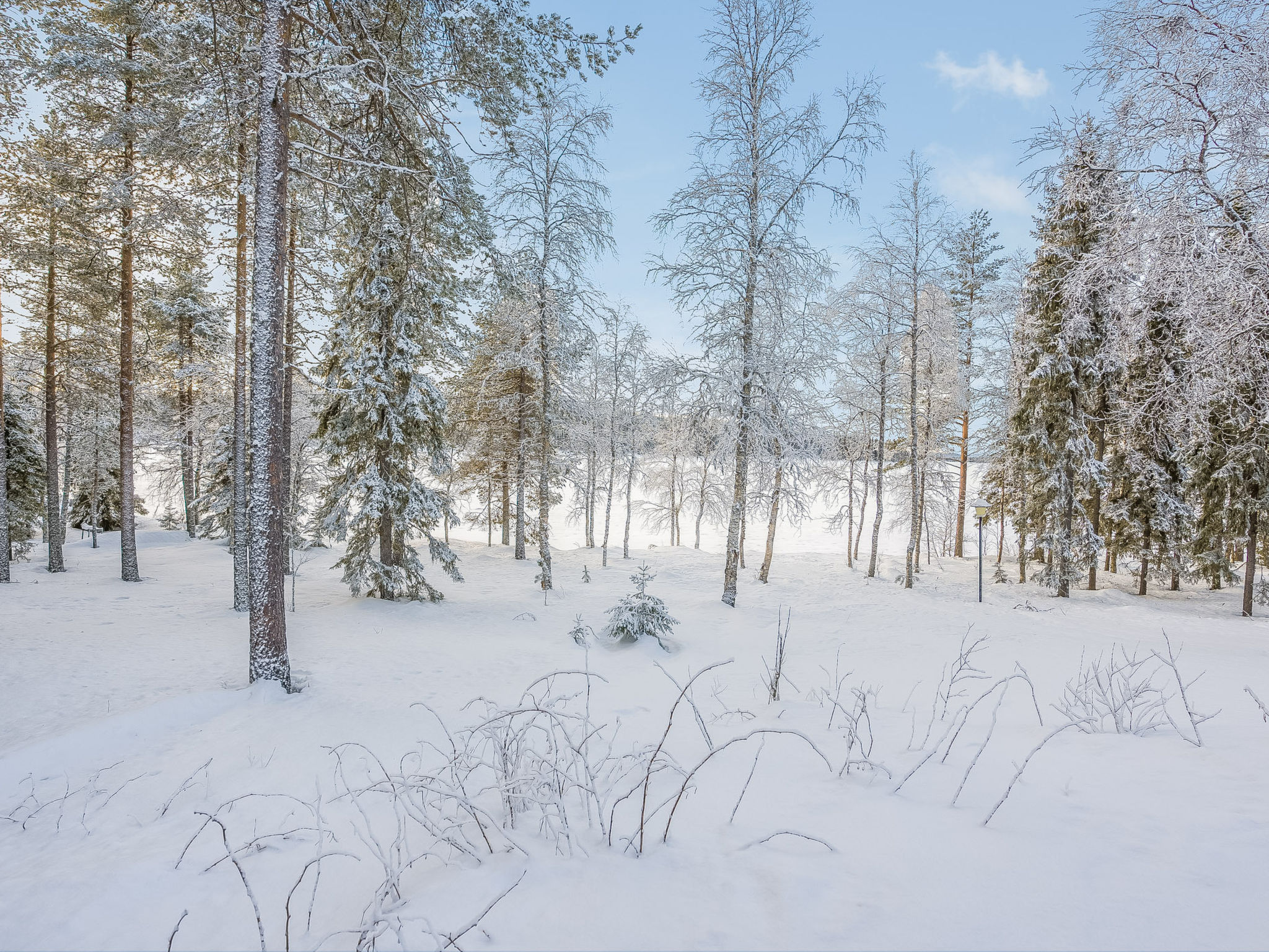 Kuontijärvi a - Binnen