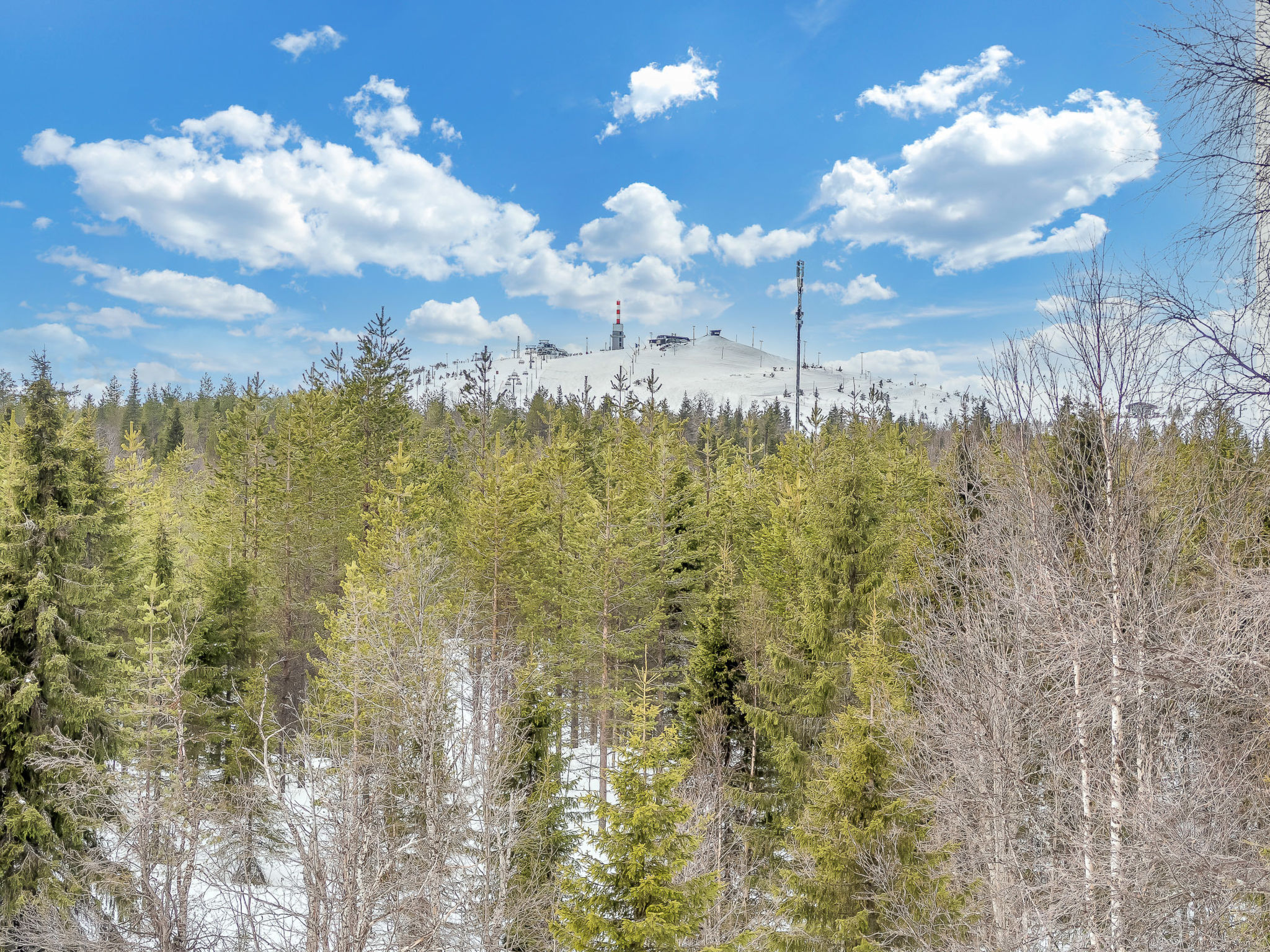 Saaruan aurinko