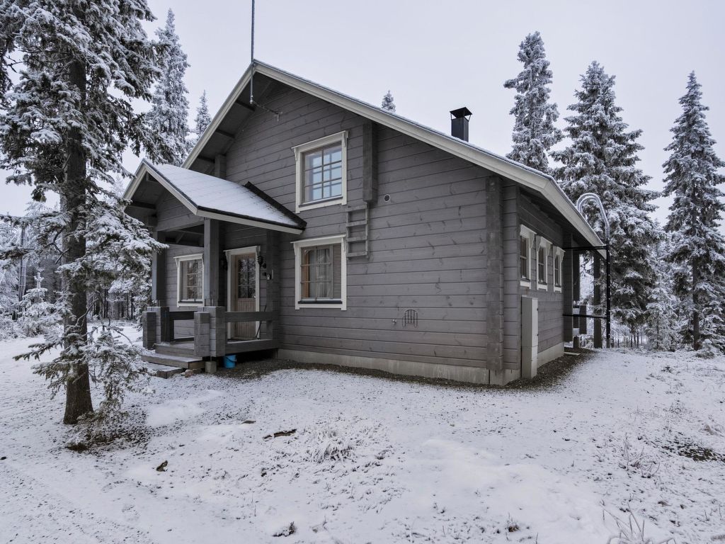 Ferienhaus Ihtingin koskikara Ferienhaus 