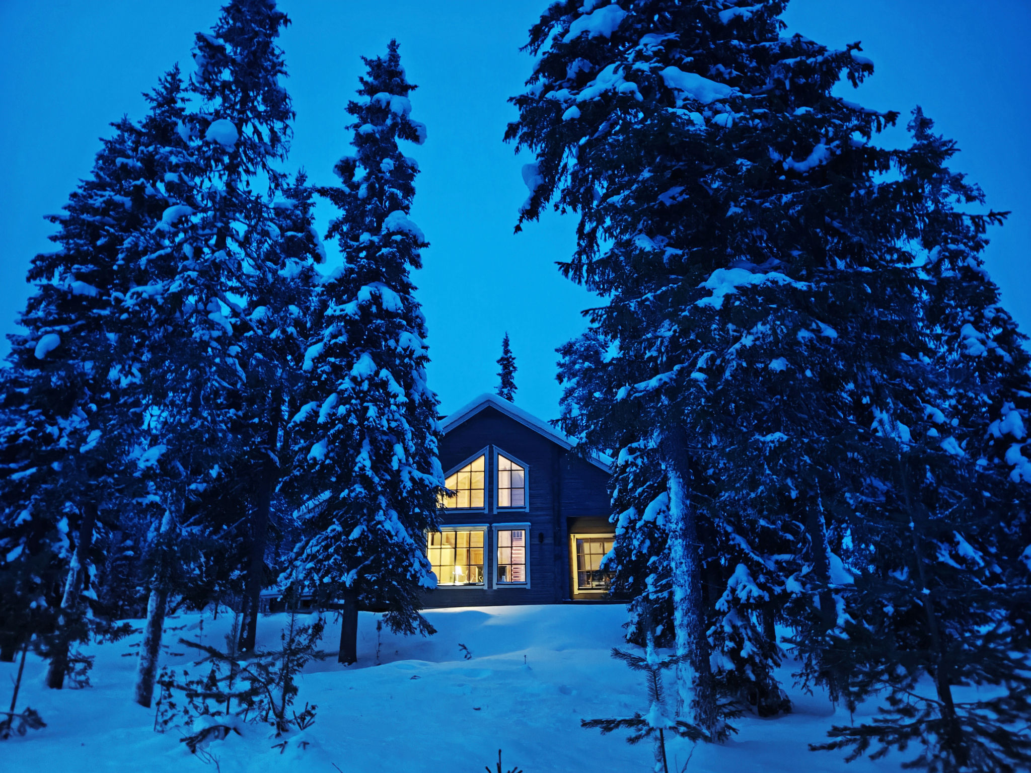 Maison Ihtingin koskikara – Intérieur, photo 10 sur 72