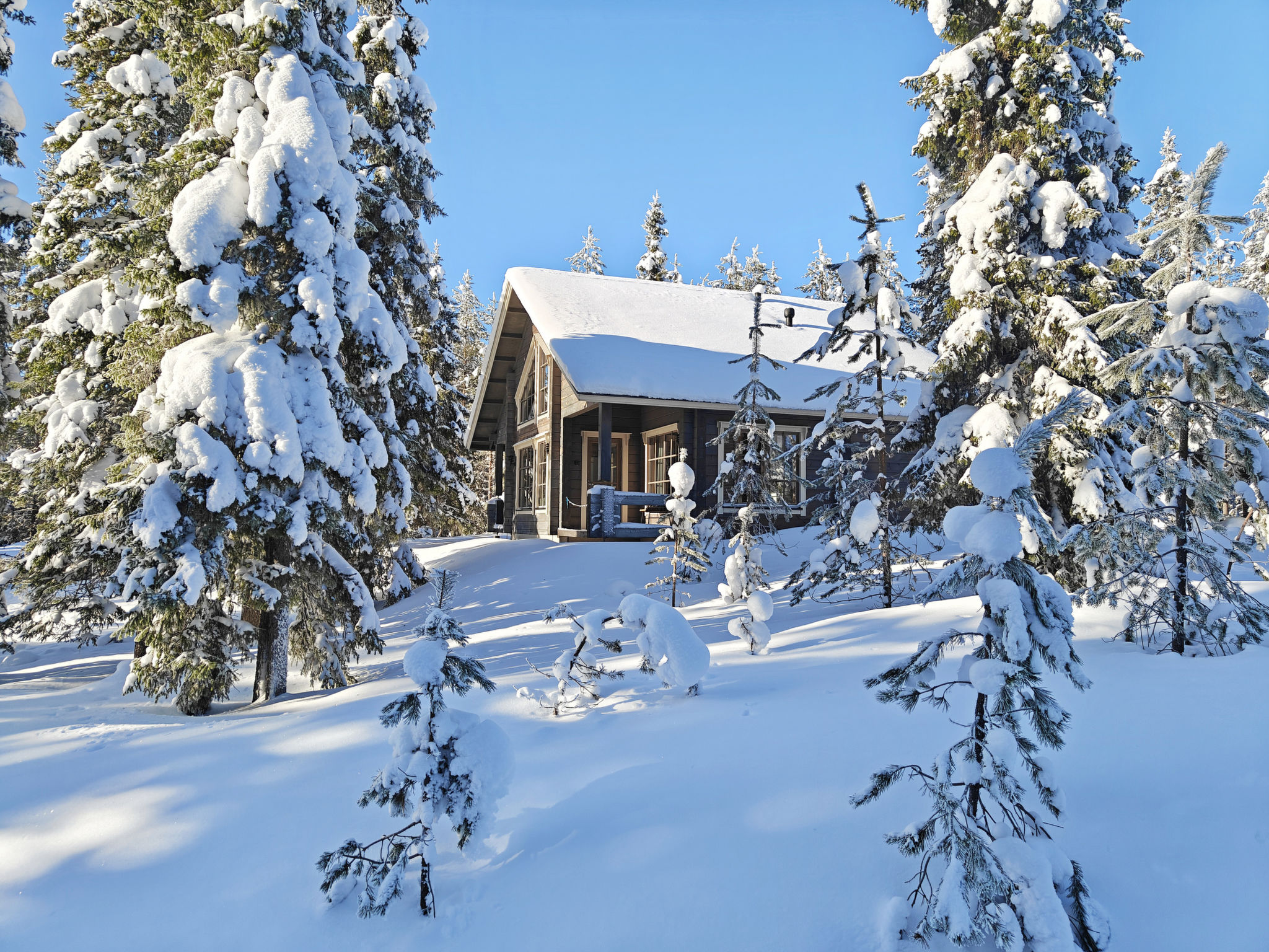 Photo of Ihtingin koskikara