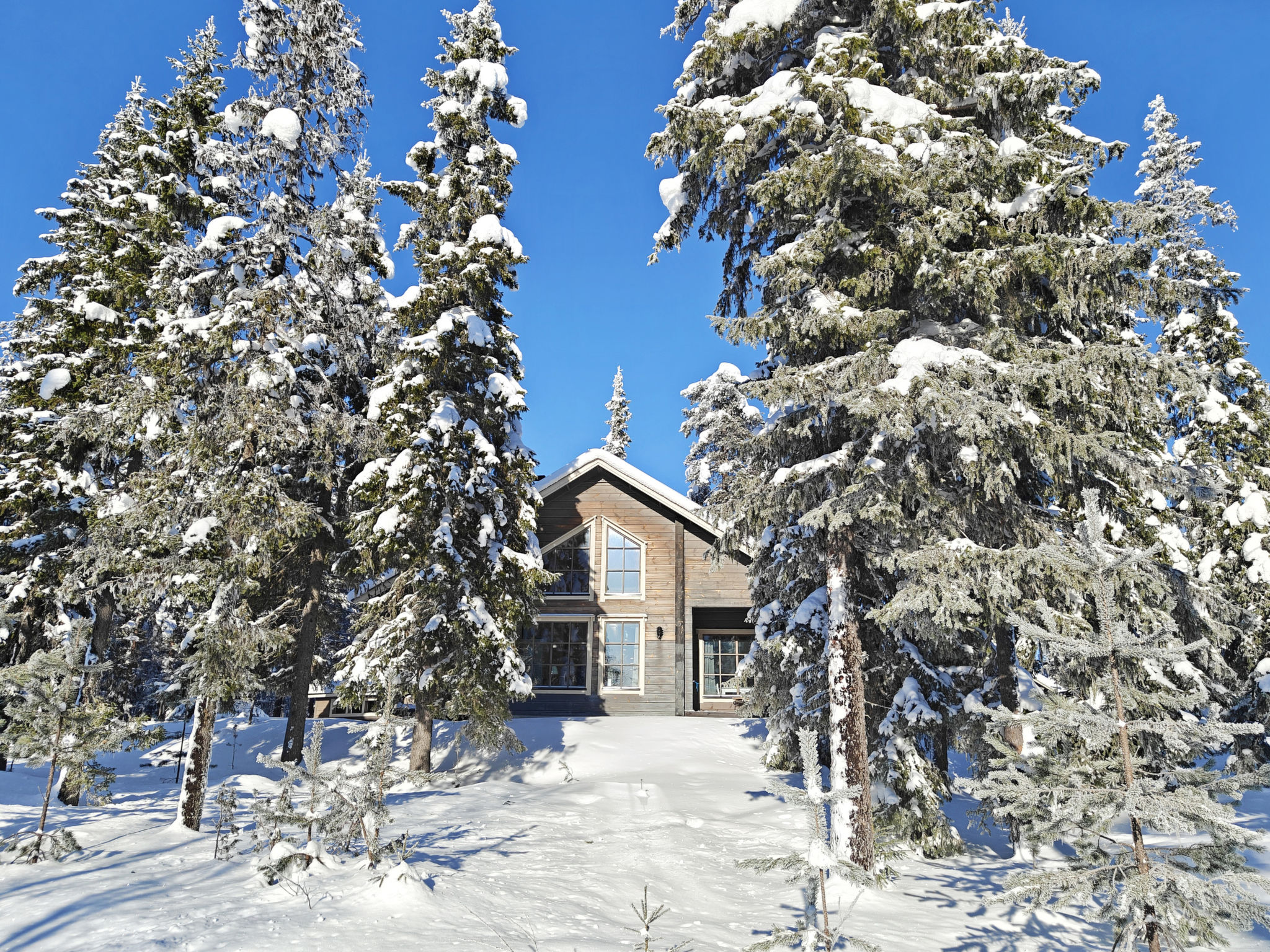 Photo of Ihtingin koskikara