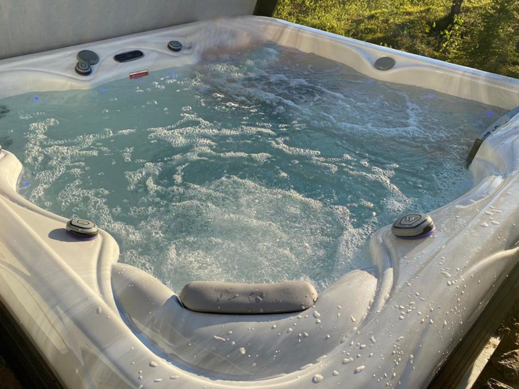 Photo of Iso-karpalo a