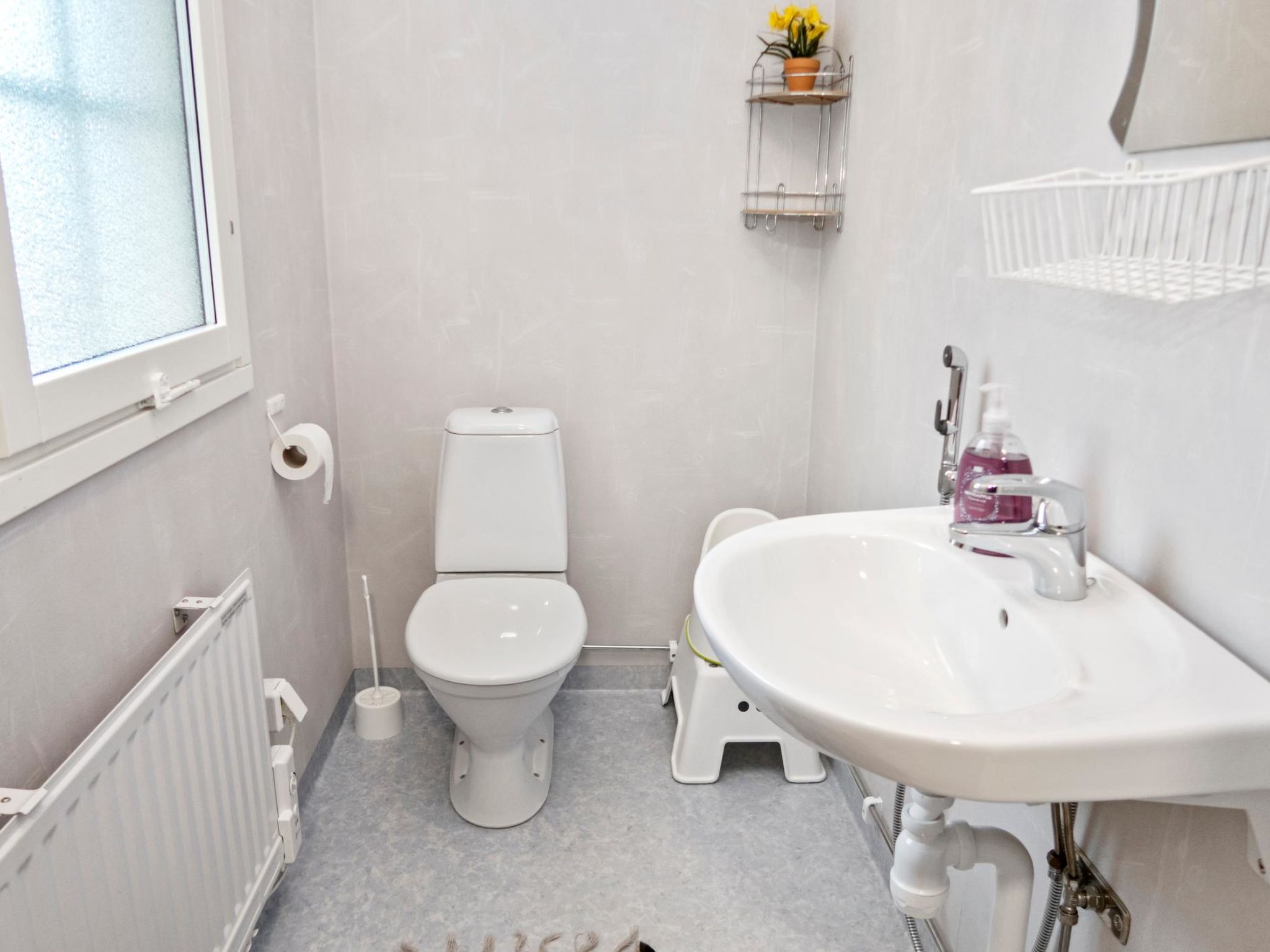 Photo of Iso-karpalo a