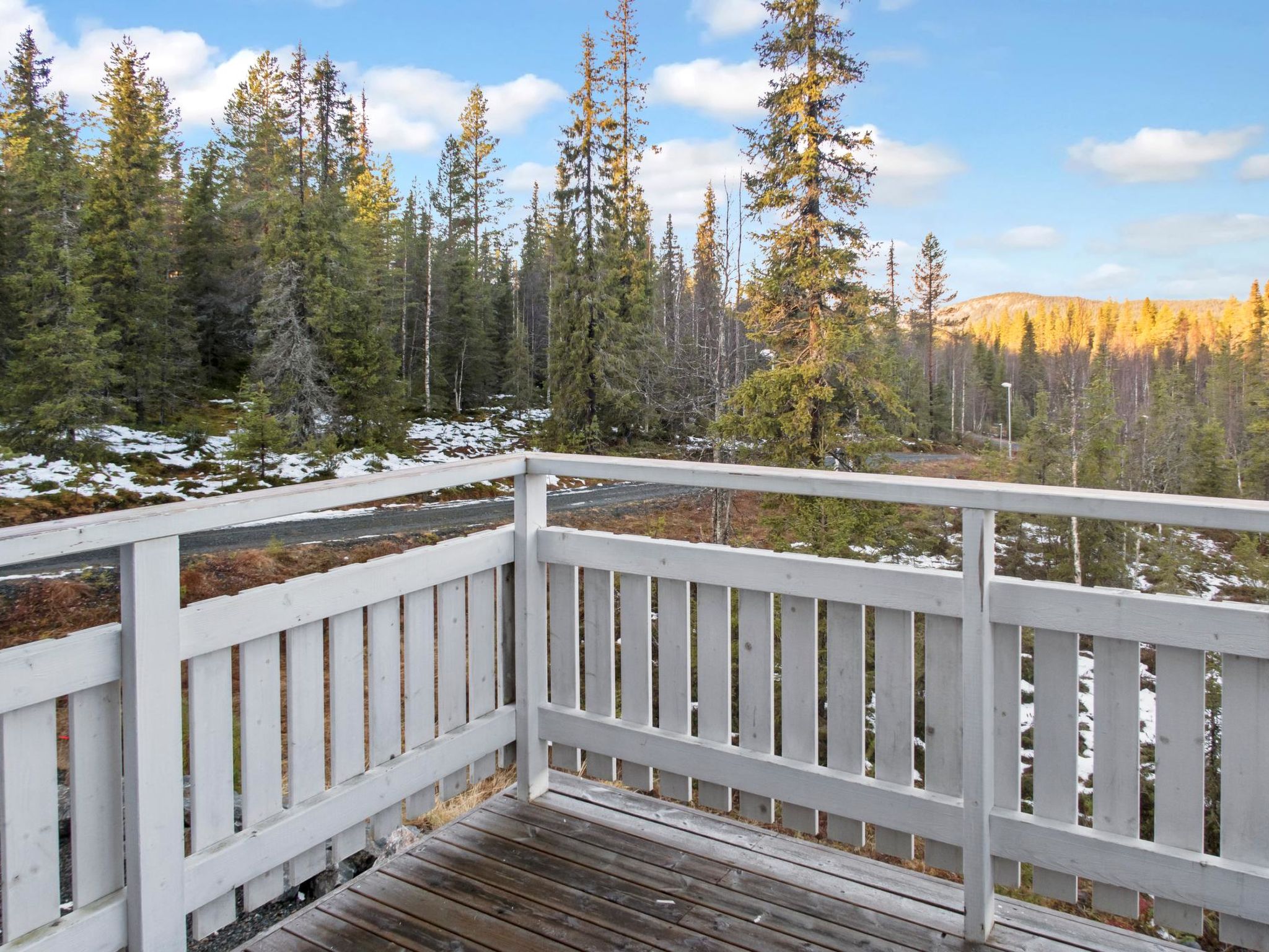 Photo of Iso-karpalo a