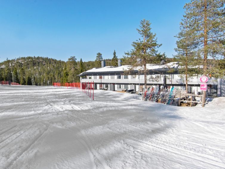 Photo of Vuosselin helmi c25