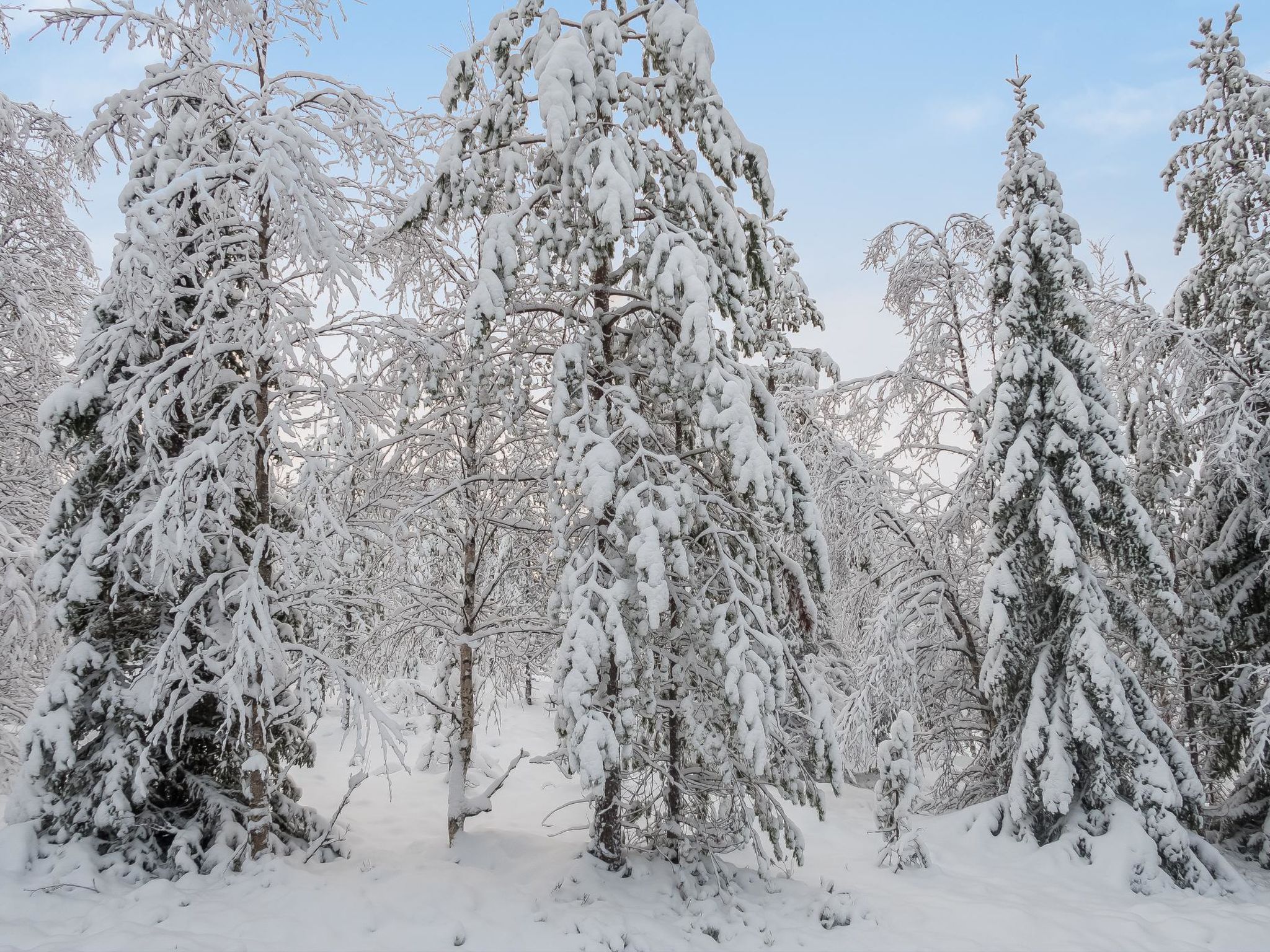 Photo of Rukan rauha