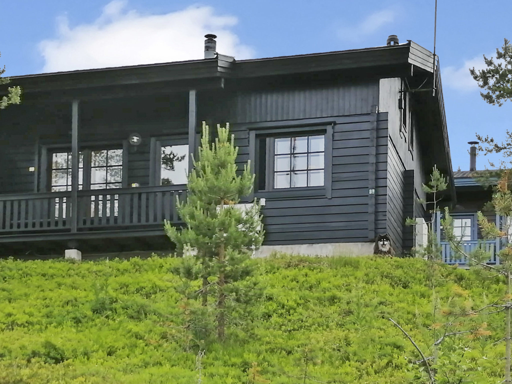 Rukan komia chalet