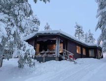 Villa kaisla
