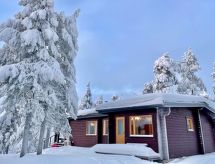 Villa kaisla