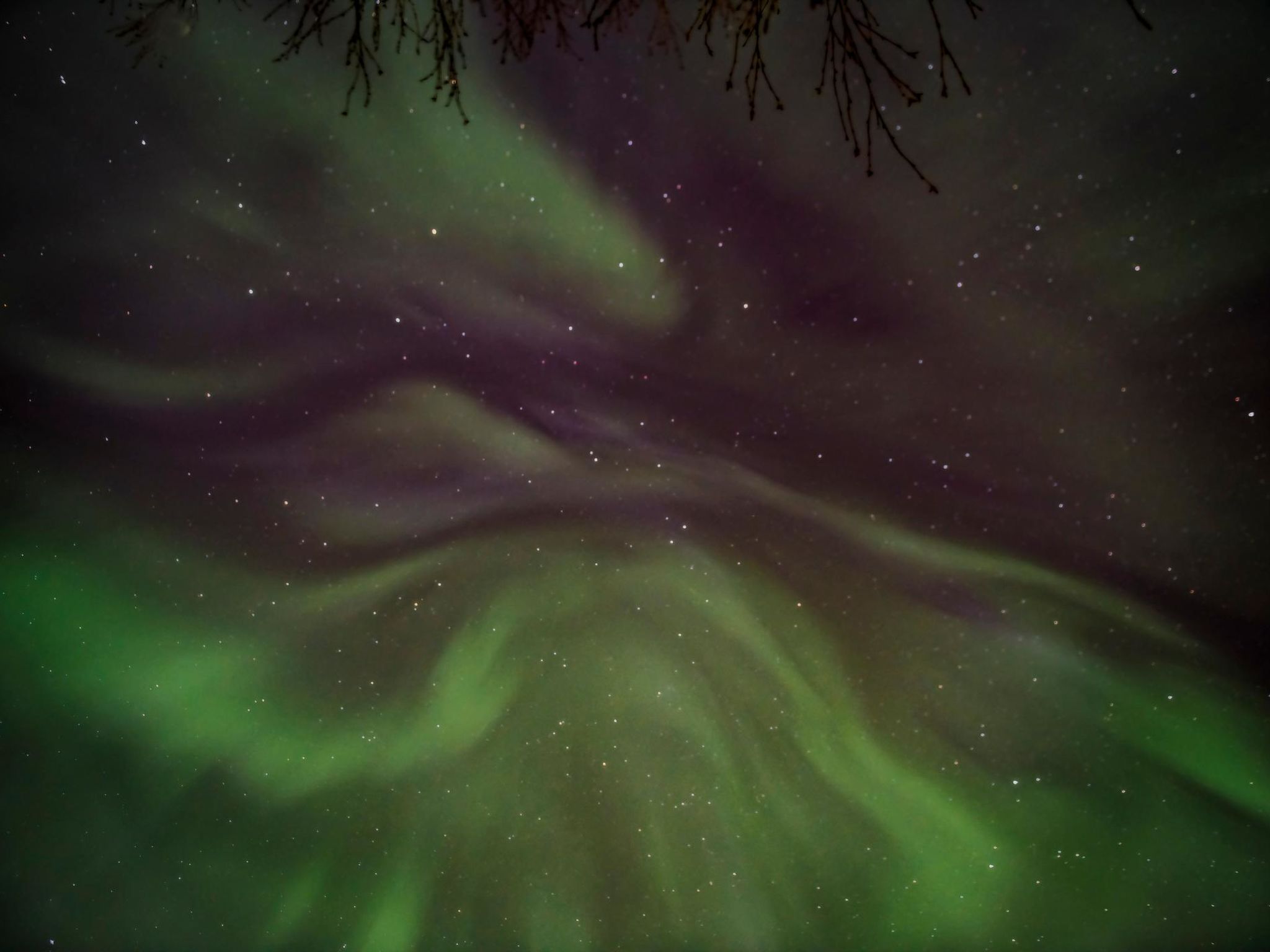 Photo of Villa kaisla