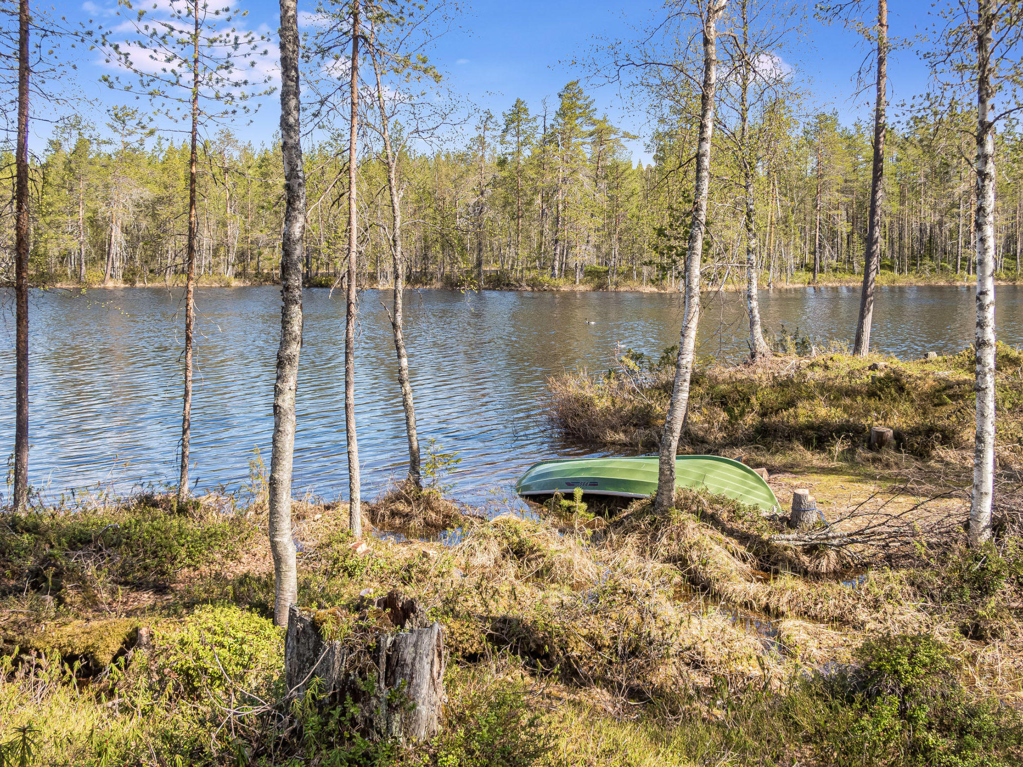 Kiehtäjän virta
