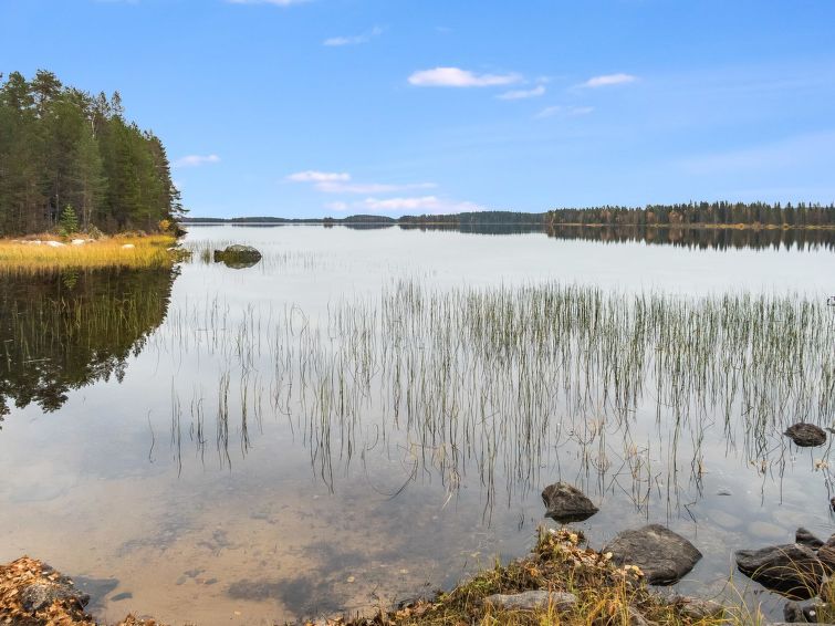 Photo of Pähkinä