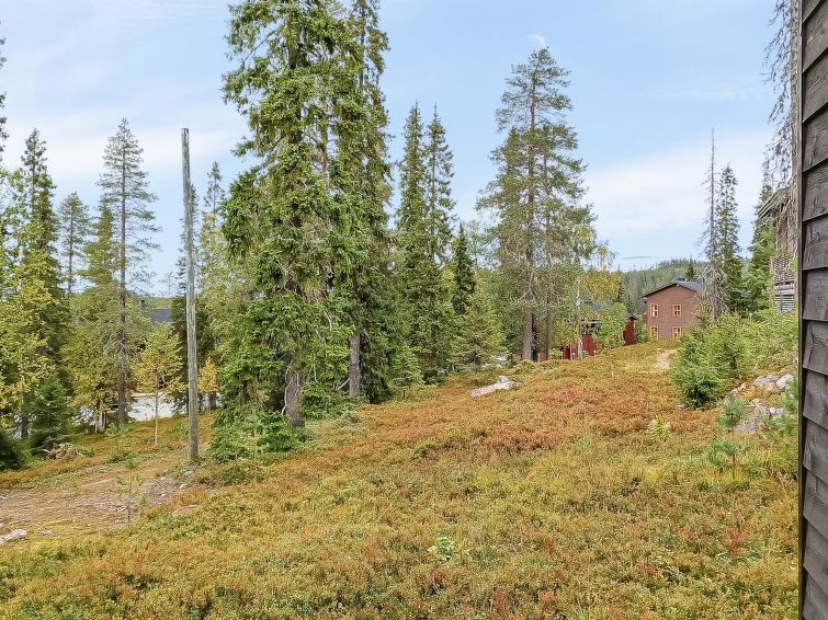 Photo of Karhunvartijan pirtti c 2