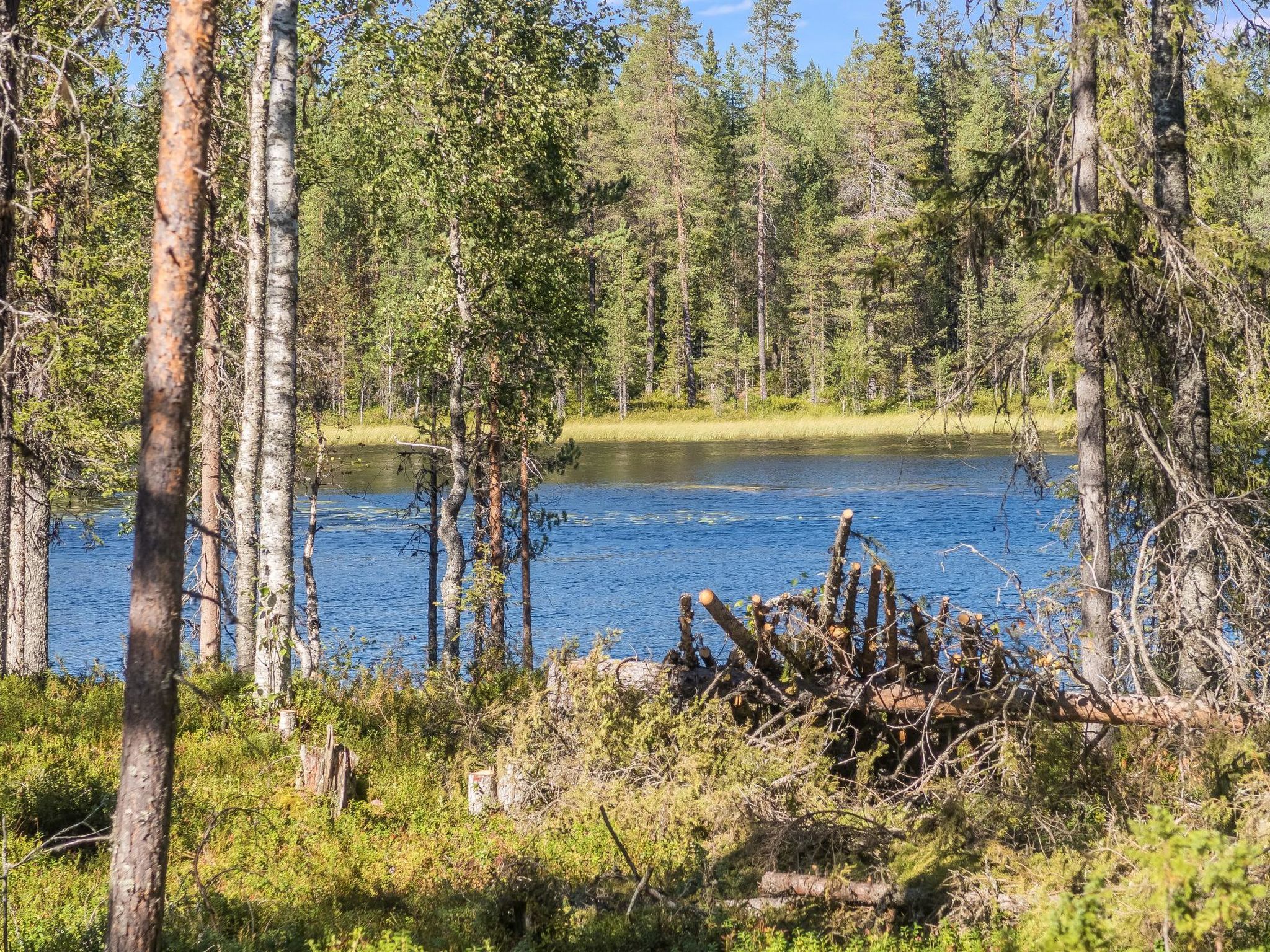 Photo of Kitkanvee 2