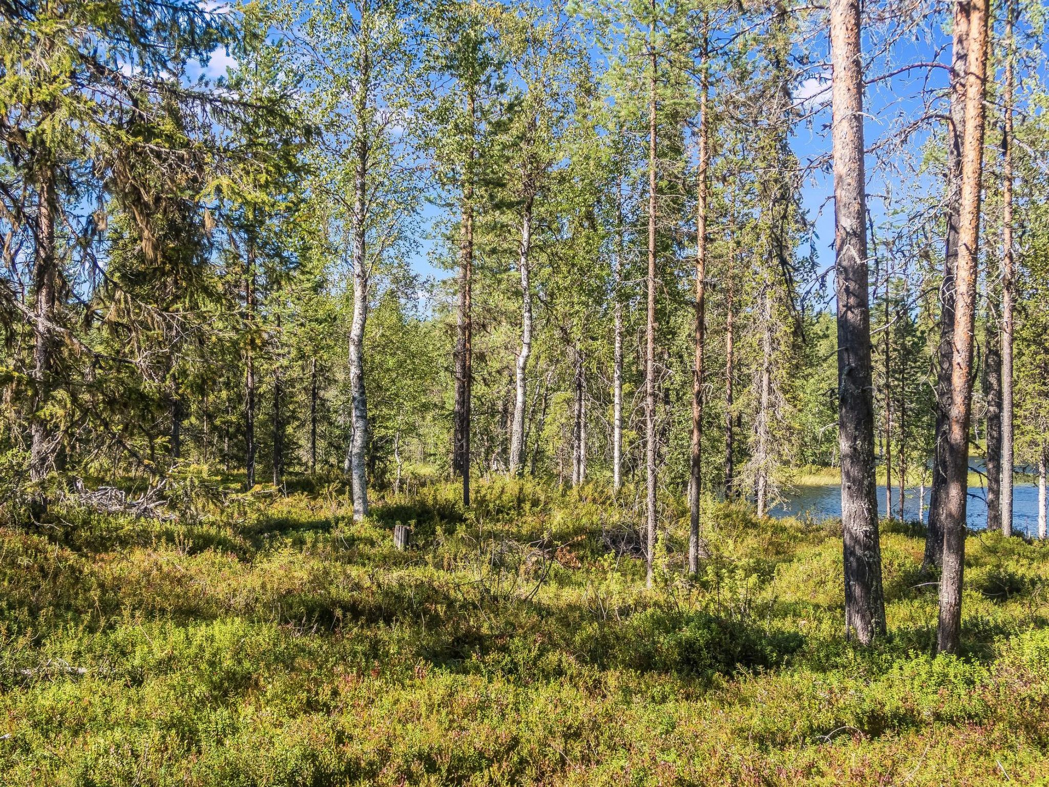 Photo of Kitkanvee 2