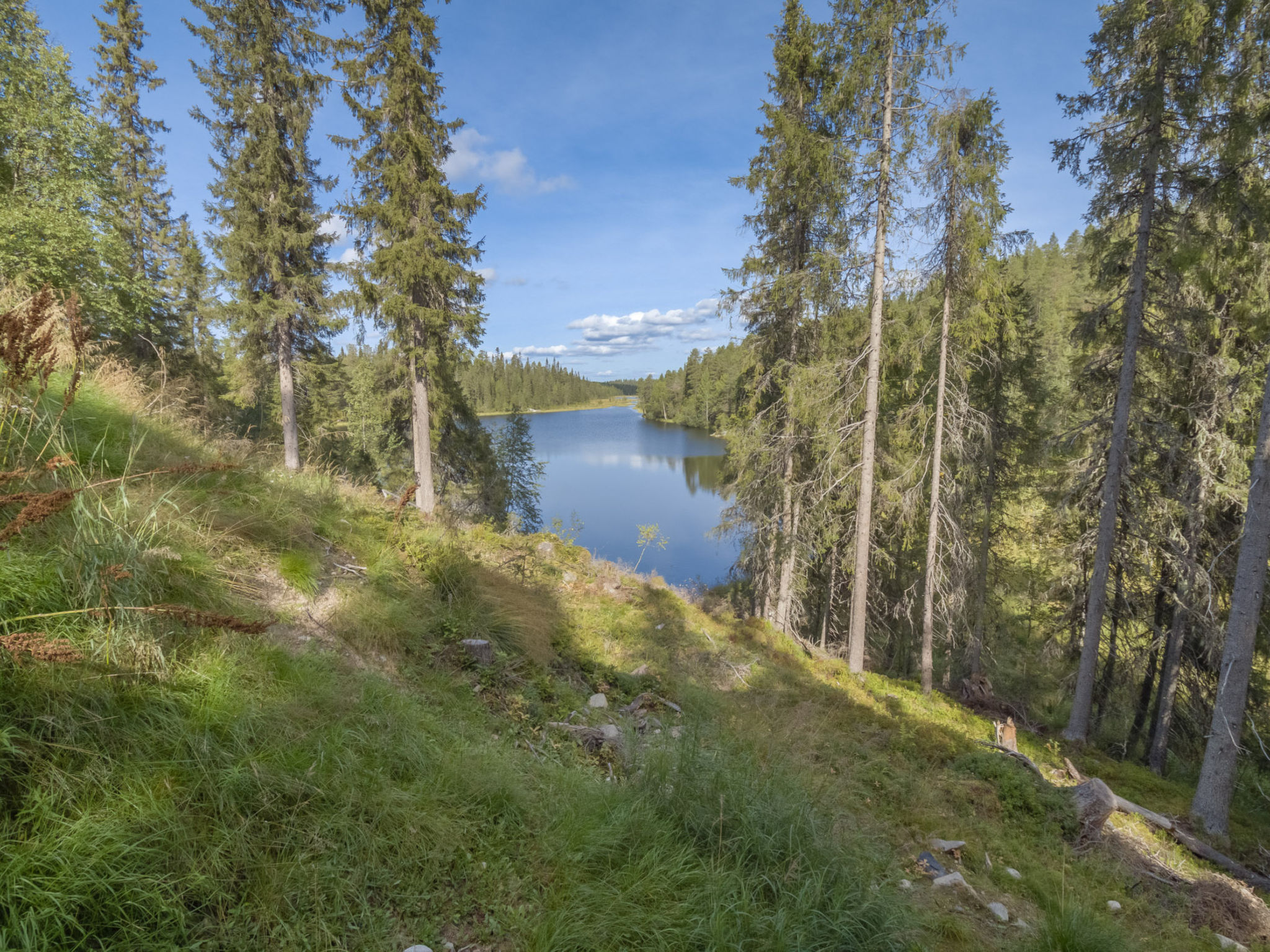 Villa ukkometso - Dedans