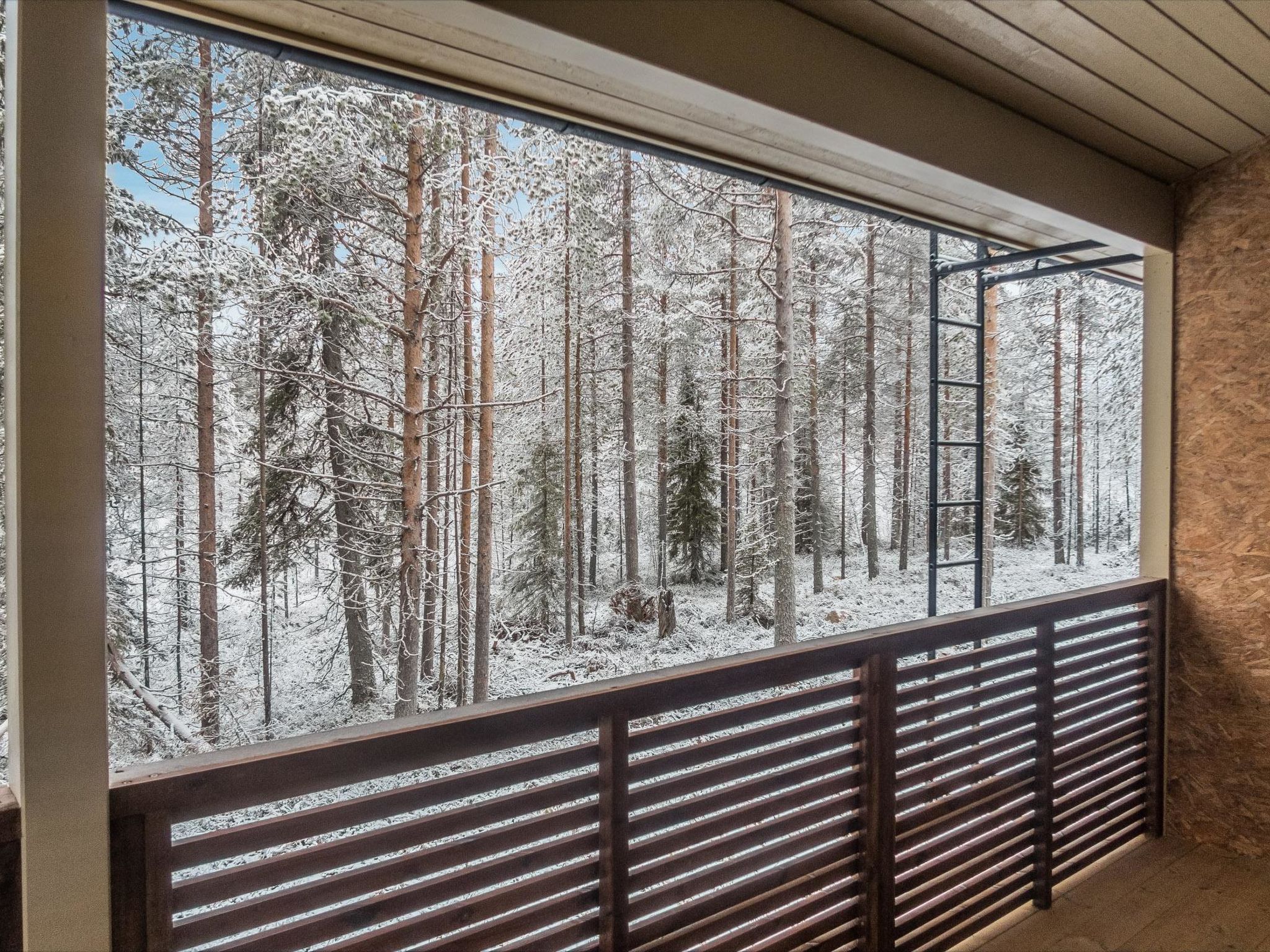 Photo of Saukonpesä a