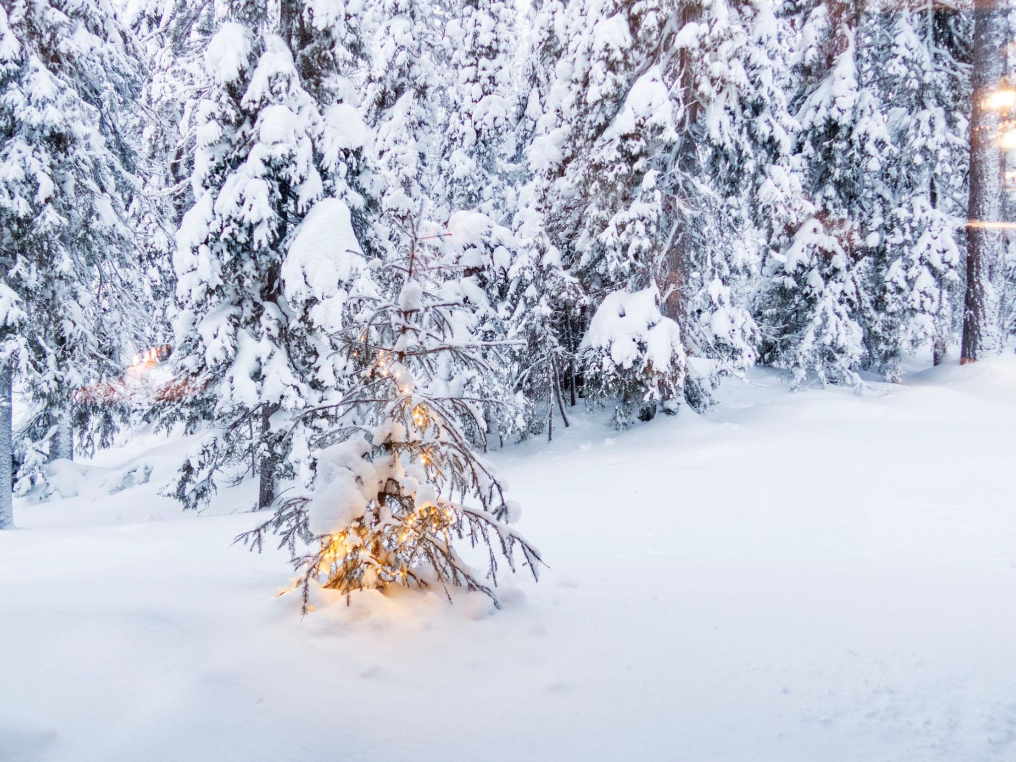 Photo of Villa huili