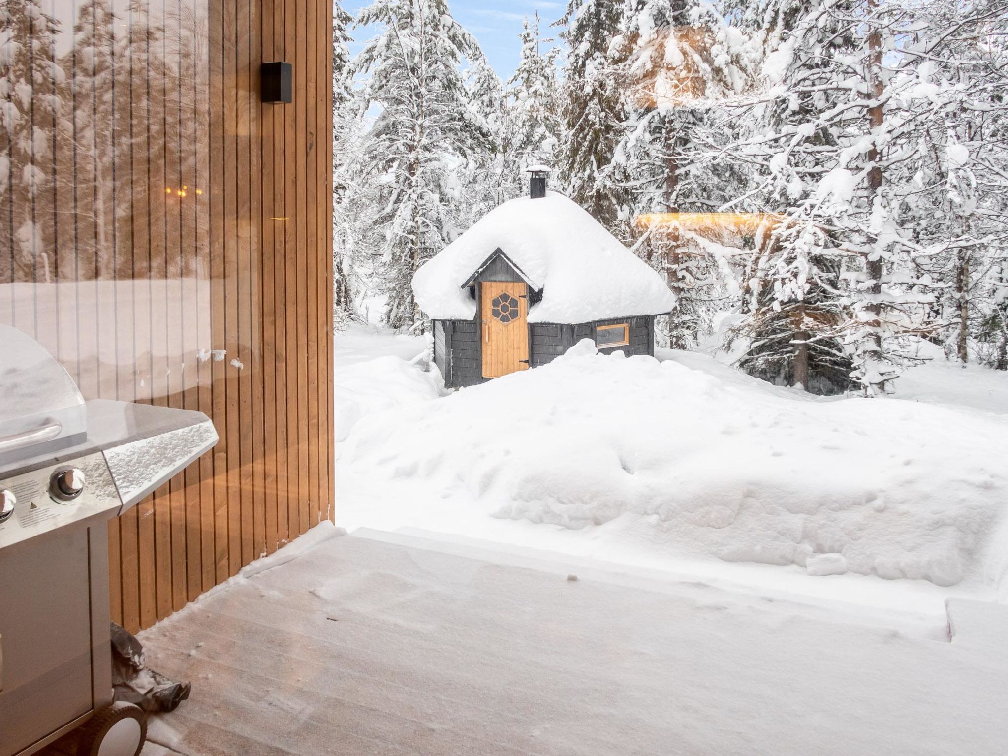 Photo of Vaaranhelmi