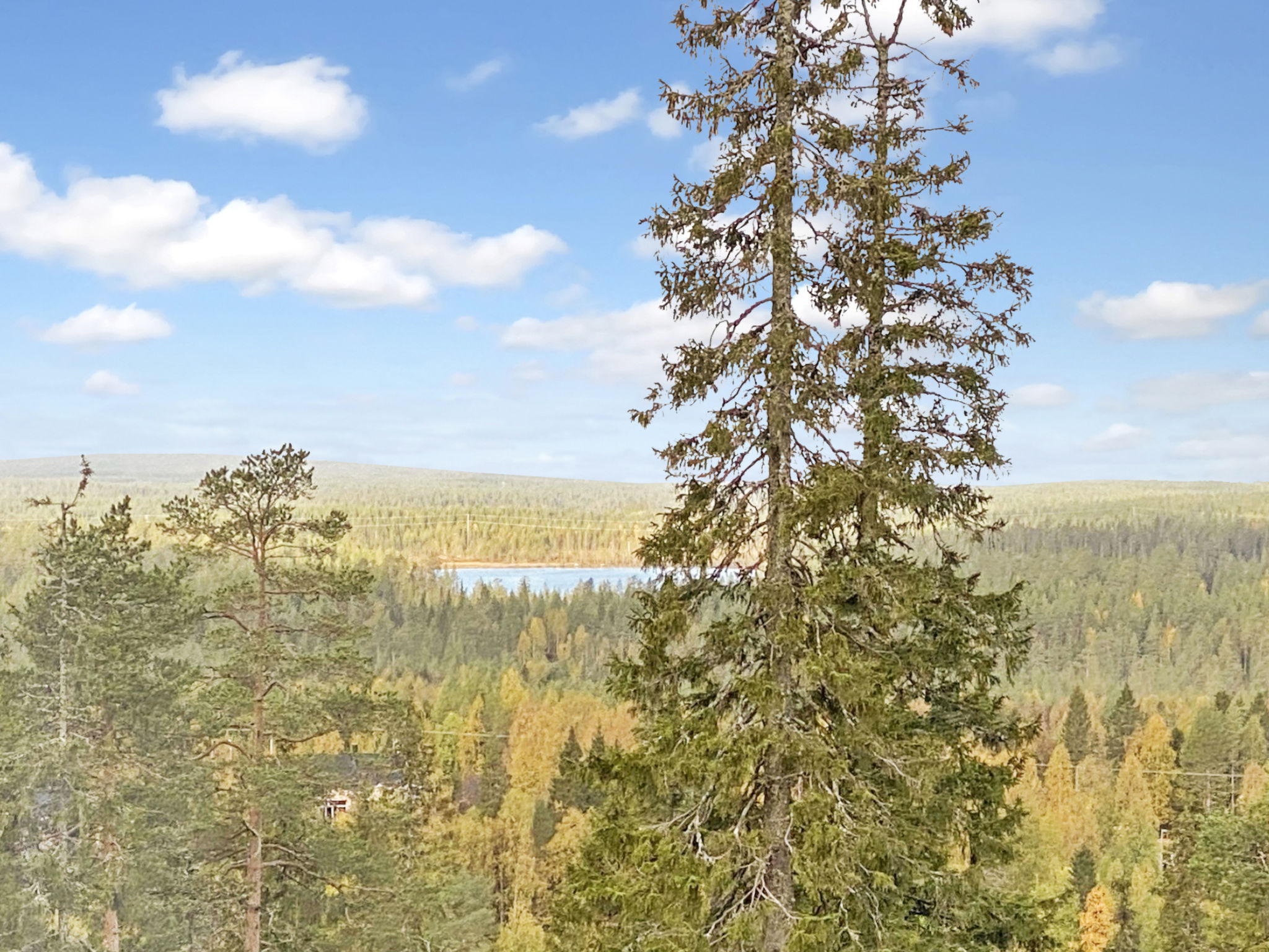 Kesä-iikka 4