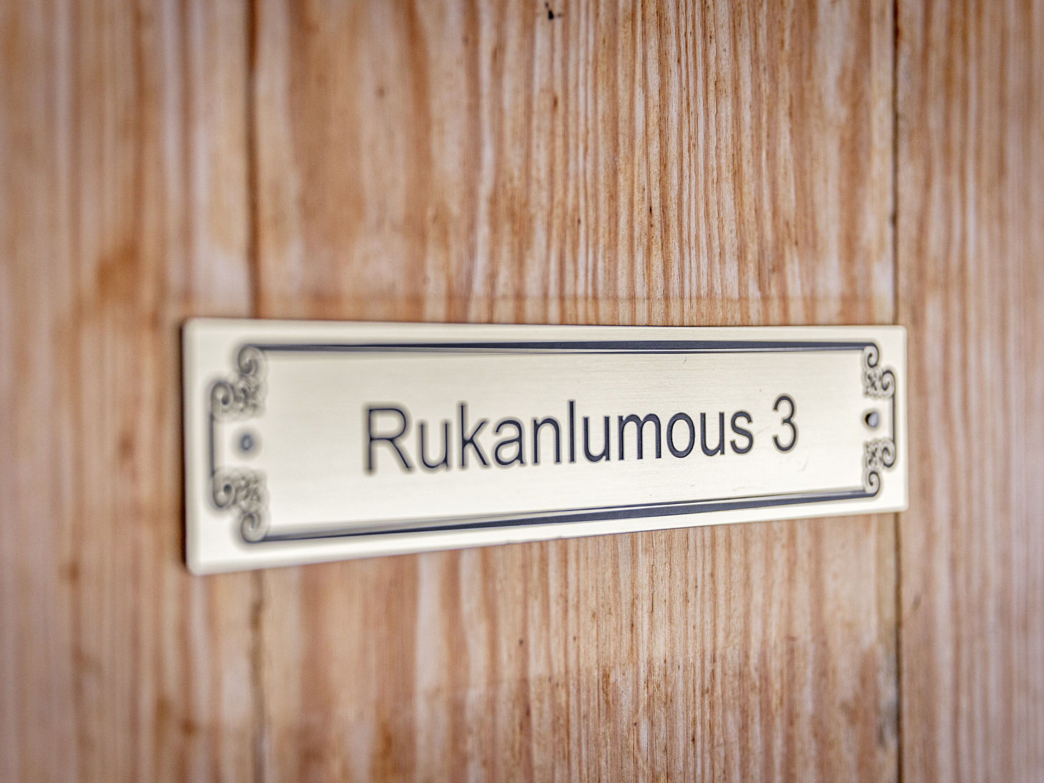 Rukanlumous 3 - Inside