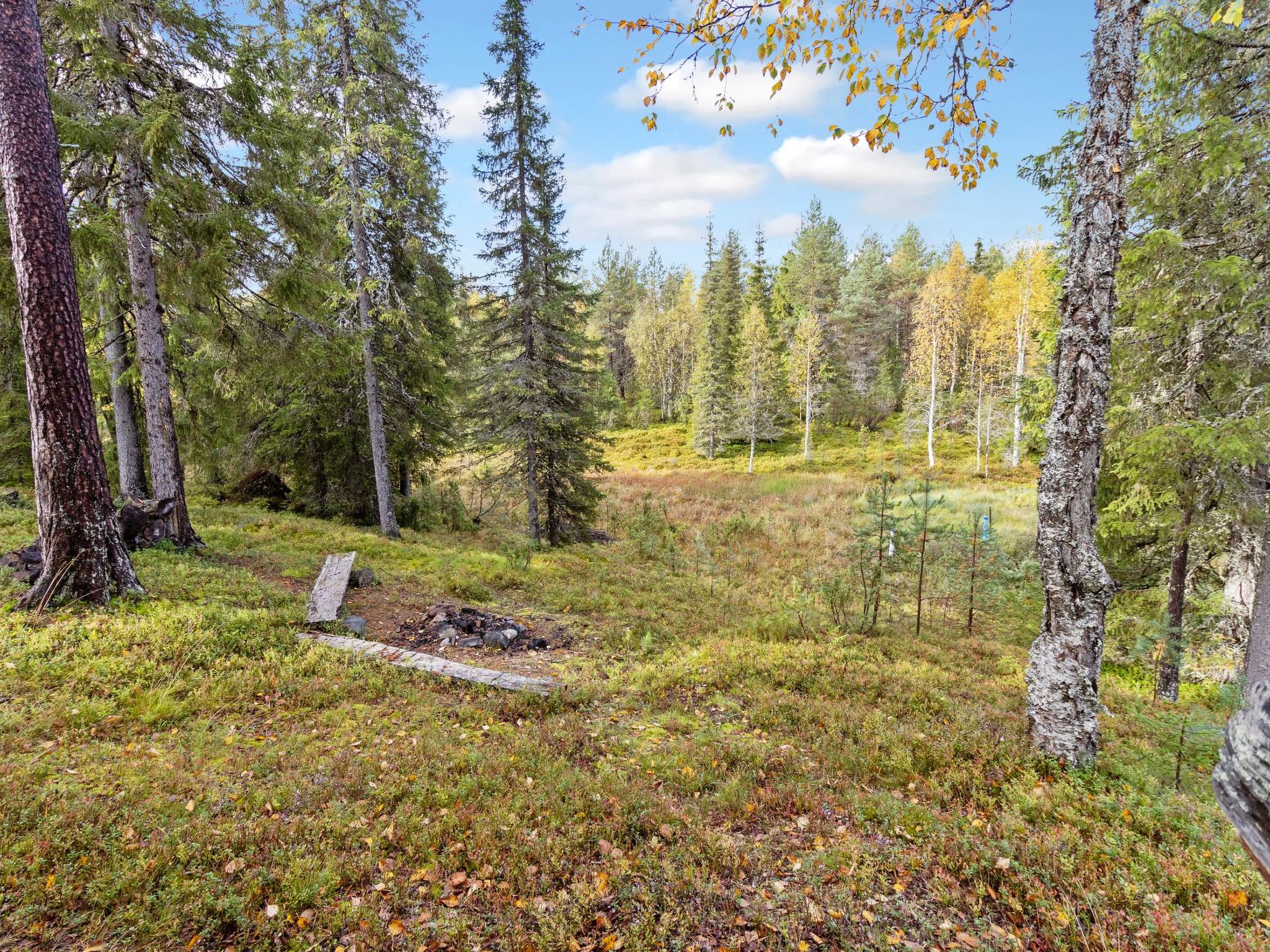Photo of Ruka Kiehinen